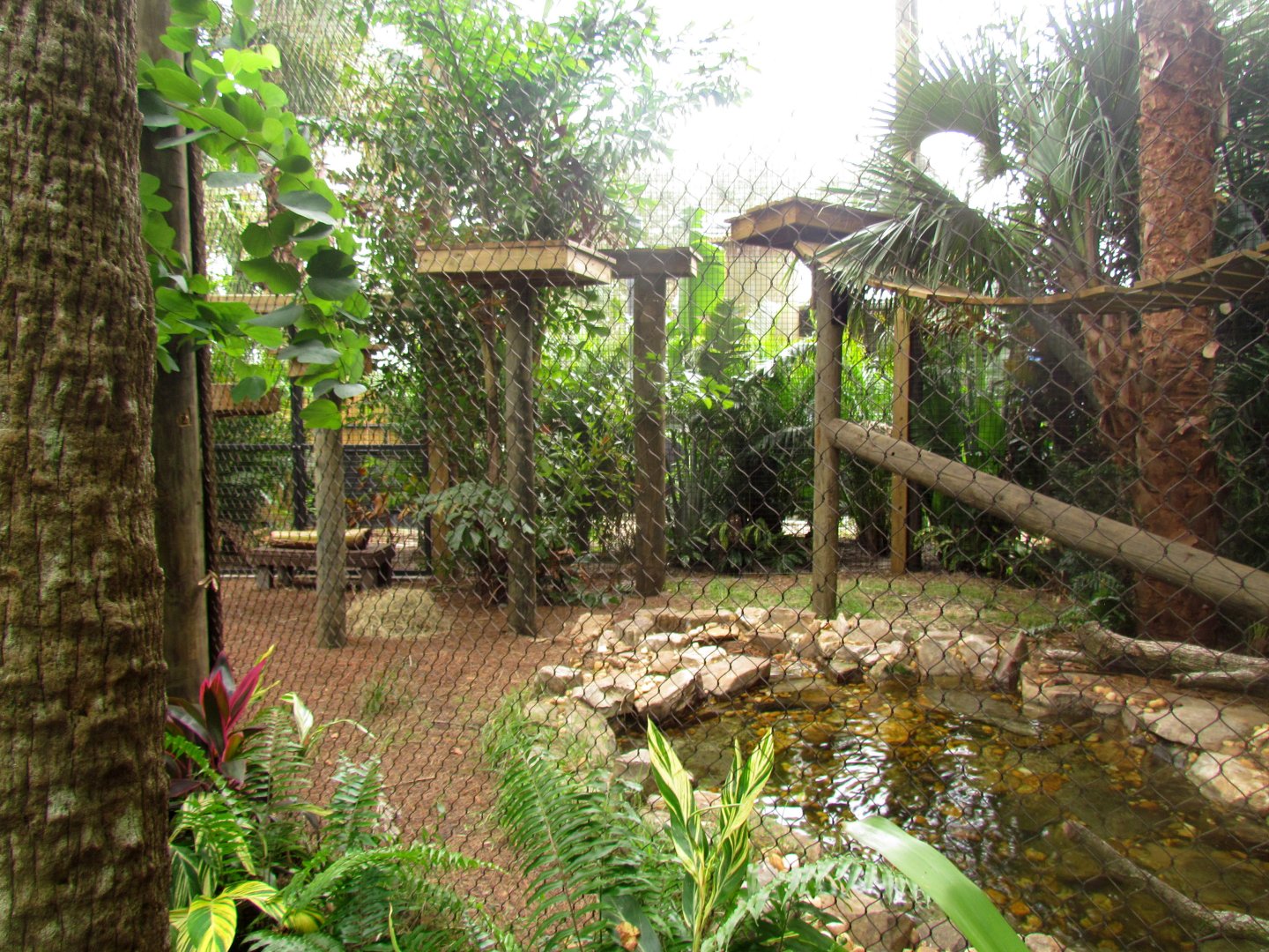 Jaguar Exhibit Expansion