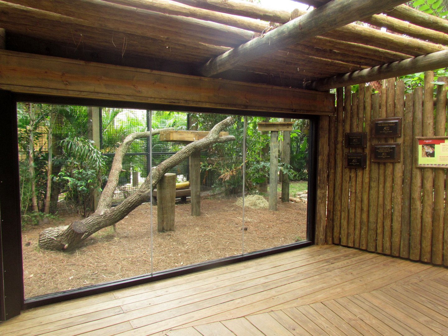 Jaguar Exhibit Expansion