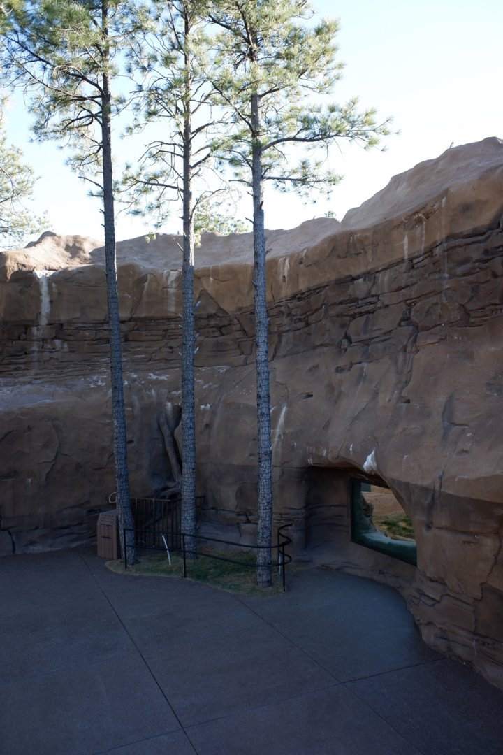 jaguar exhibit exterior