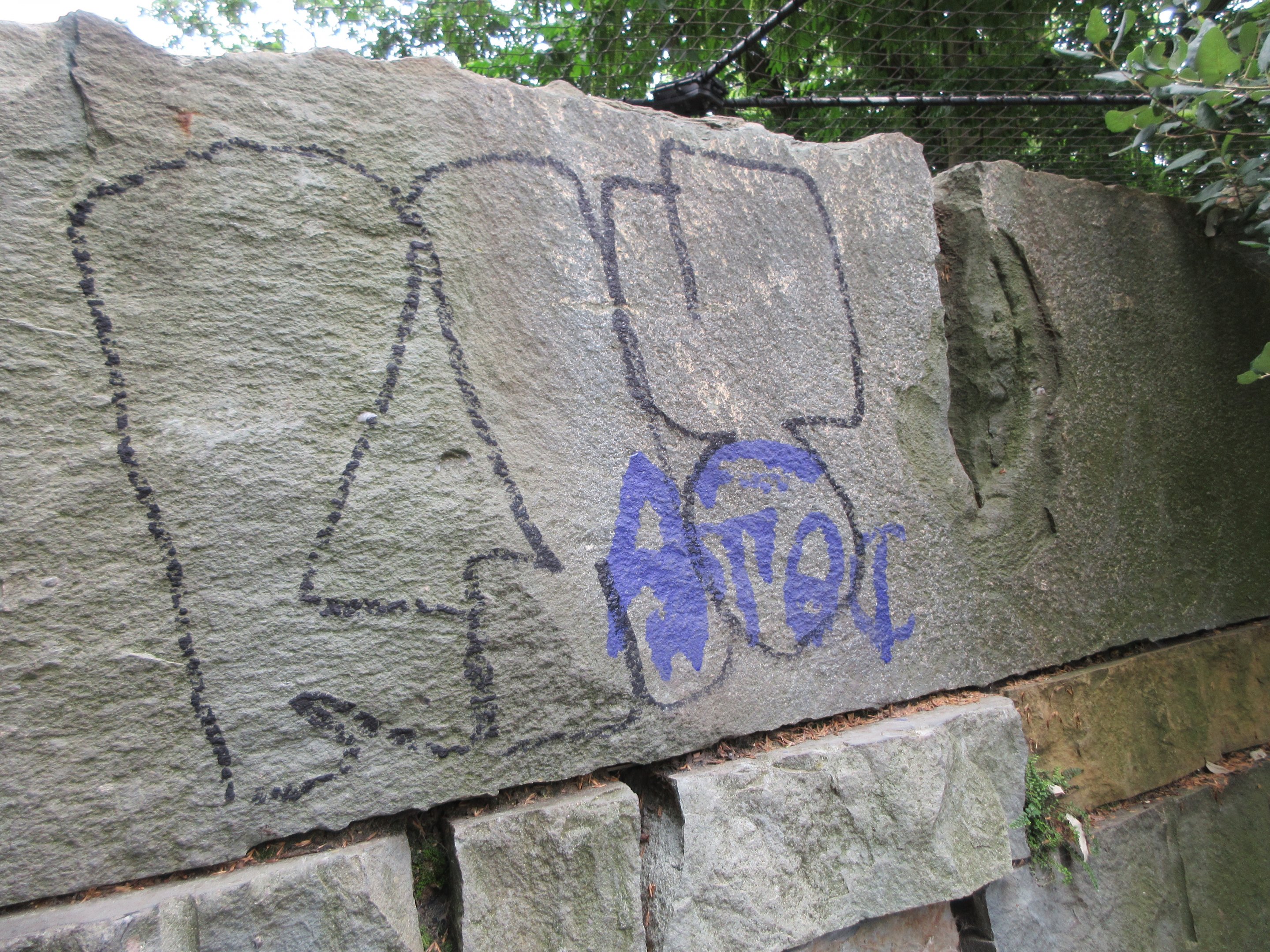 Jaguar Exhibit Graffiti