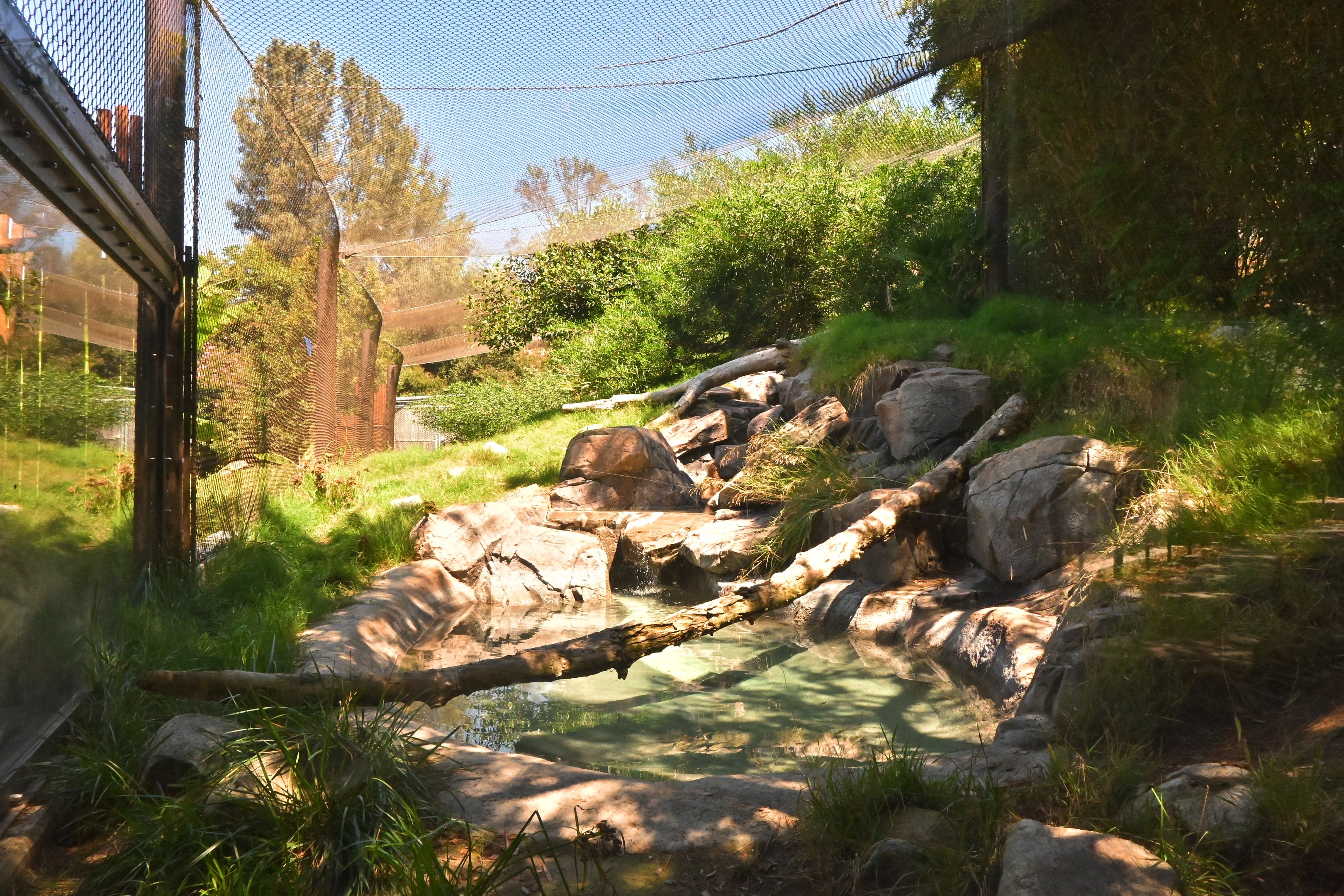 Jaguar exhibit in ROTA