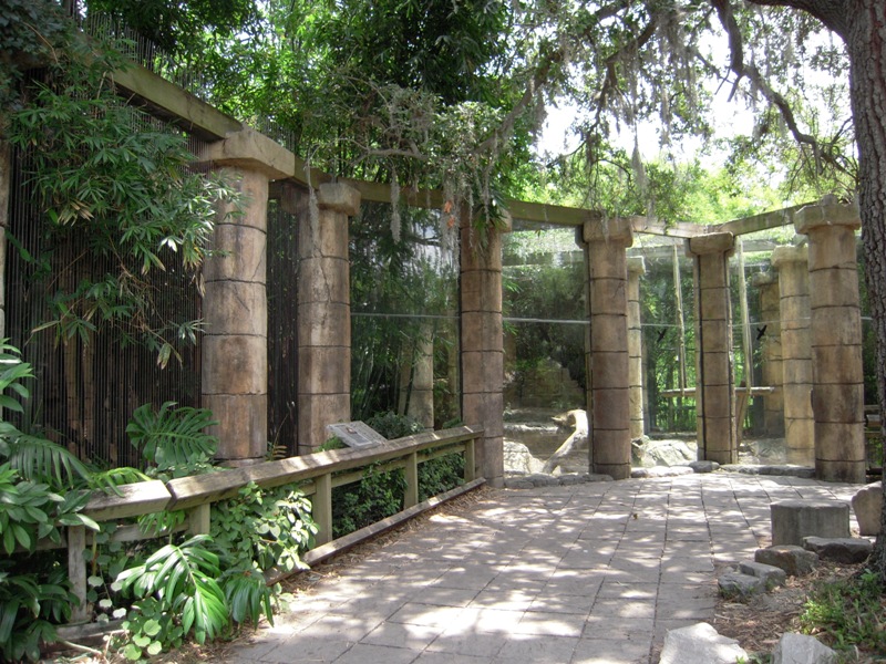 Jaguar Exhibit - Jaguar Jungle