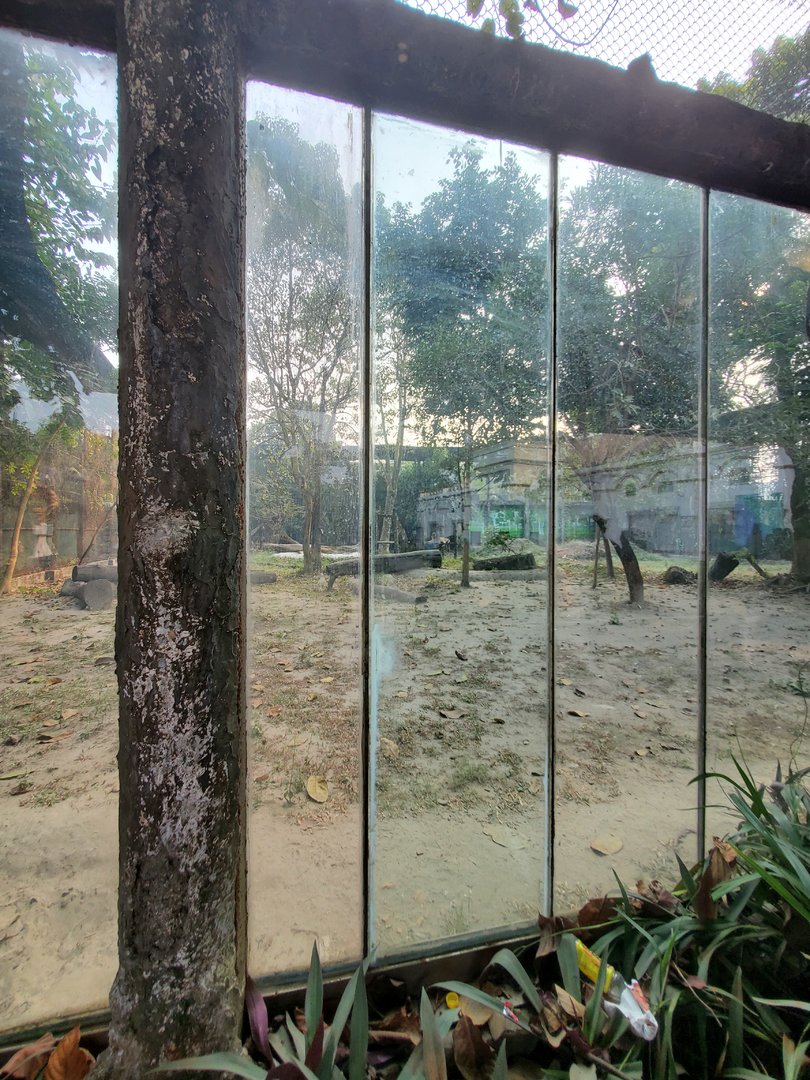 Jaguar Exhibit - January 2023