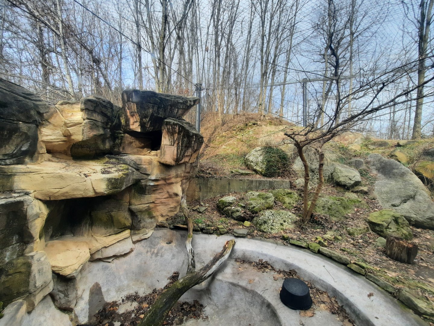 Jaguar Exhibit Left Side