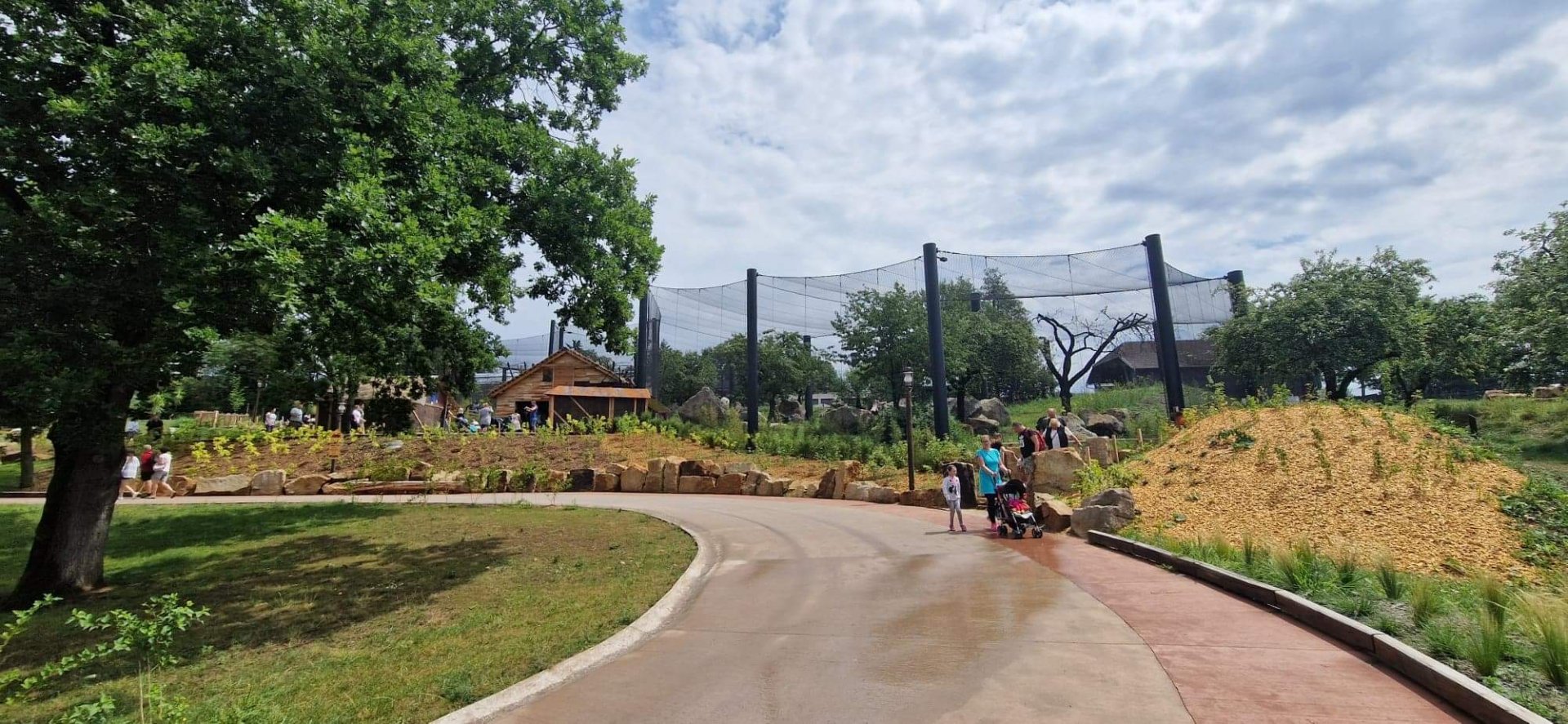 Jaguar exhibit on South American loop