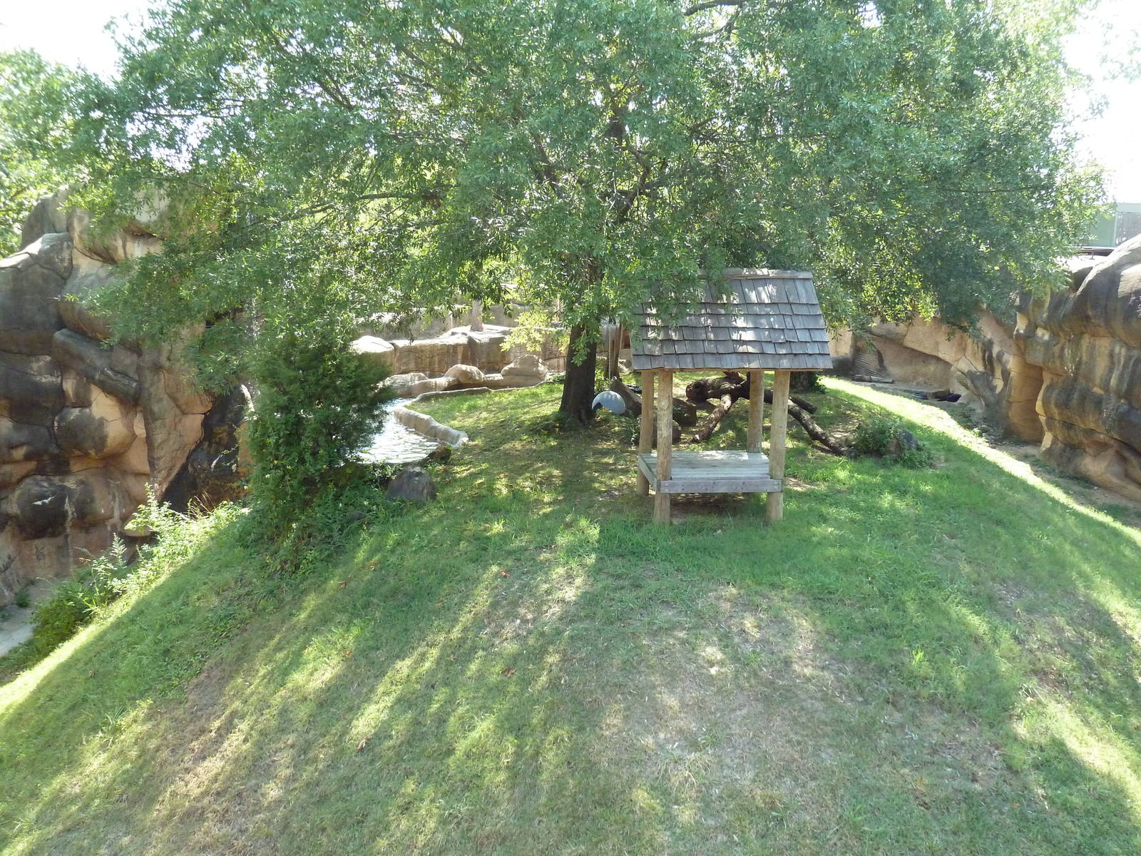 Jaguar Exhibit (Open-Topped)