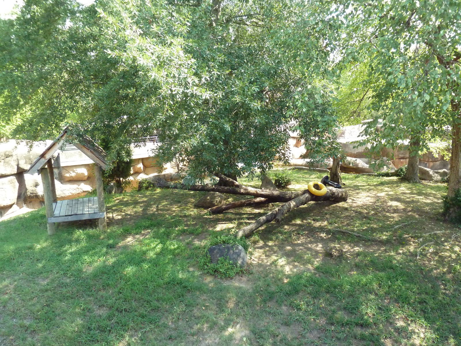 Jaguar Exhibit (Open-Topped)