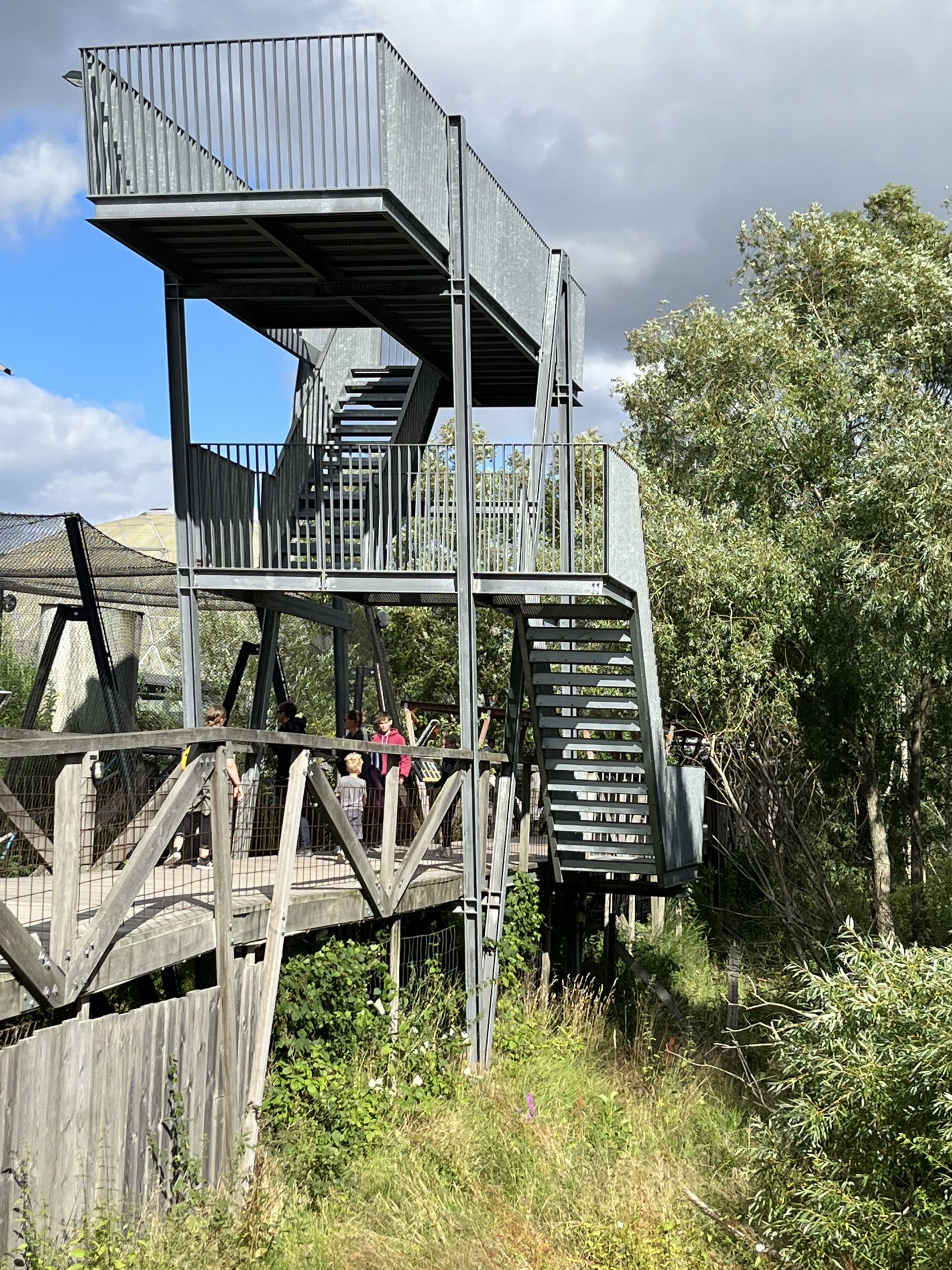 Jaguar Exhibit Overlook