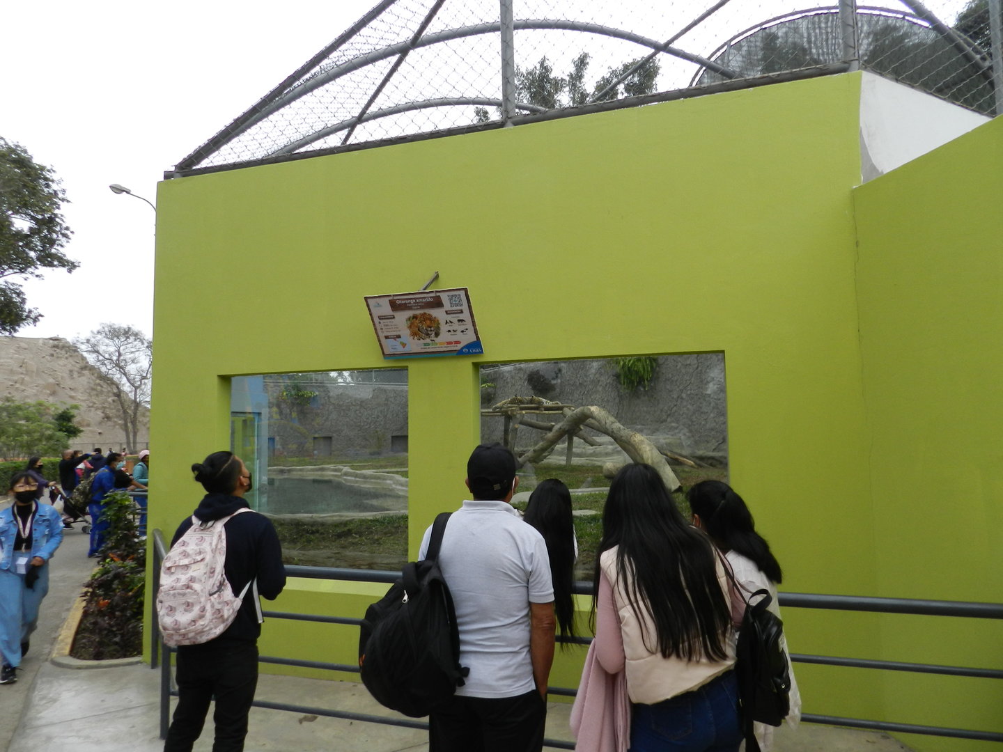 Jaguar exhibit - Parque de Las Leyendas