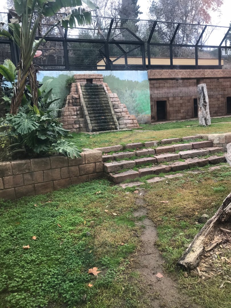 Jaguar exhibit (pic 2)