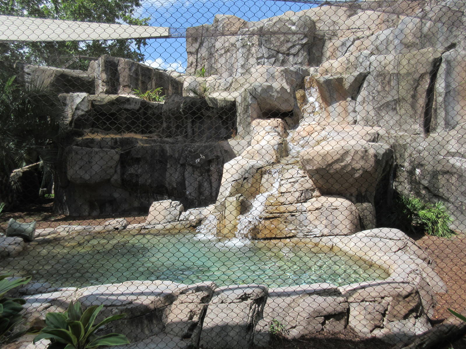 Jaguar Exhibit Pool