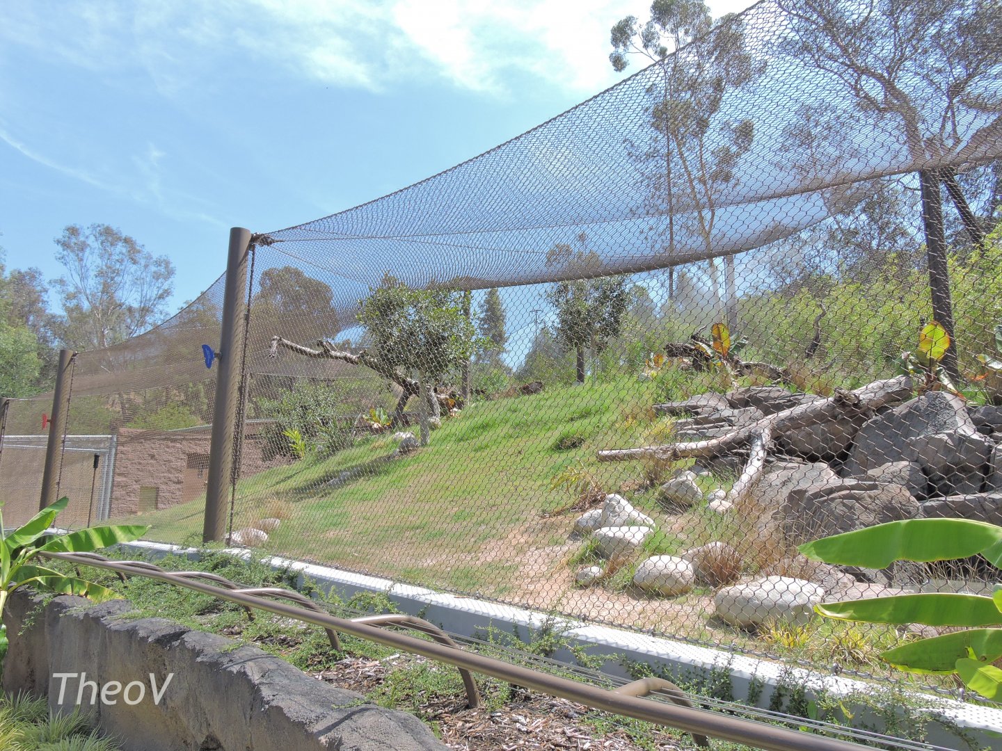 Jaguar exhibit - Rainforest of The Americas [2015]