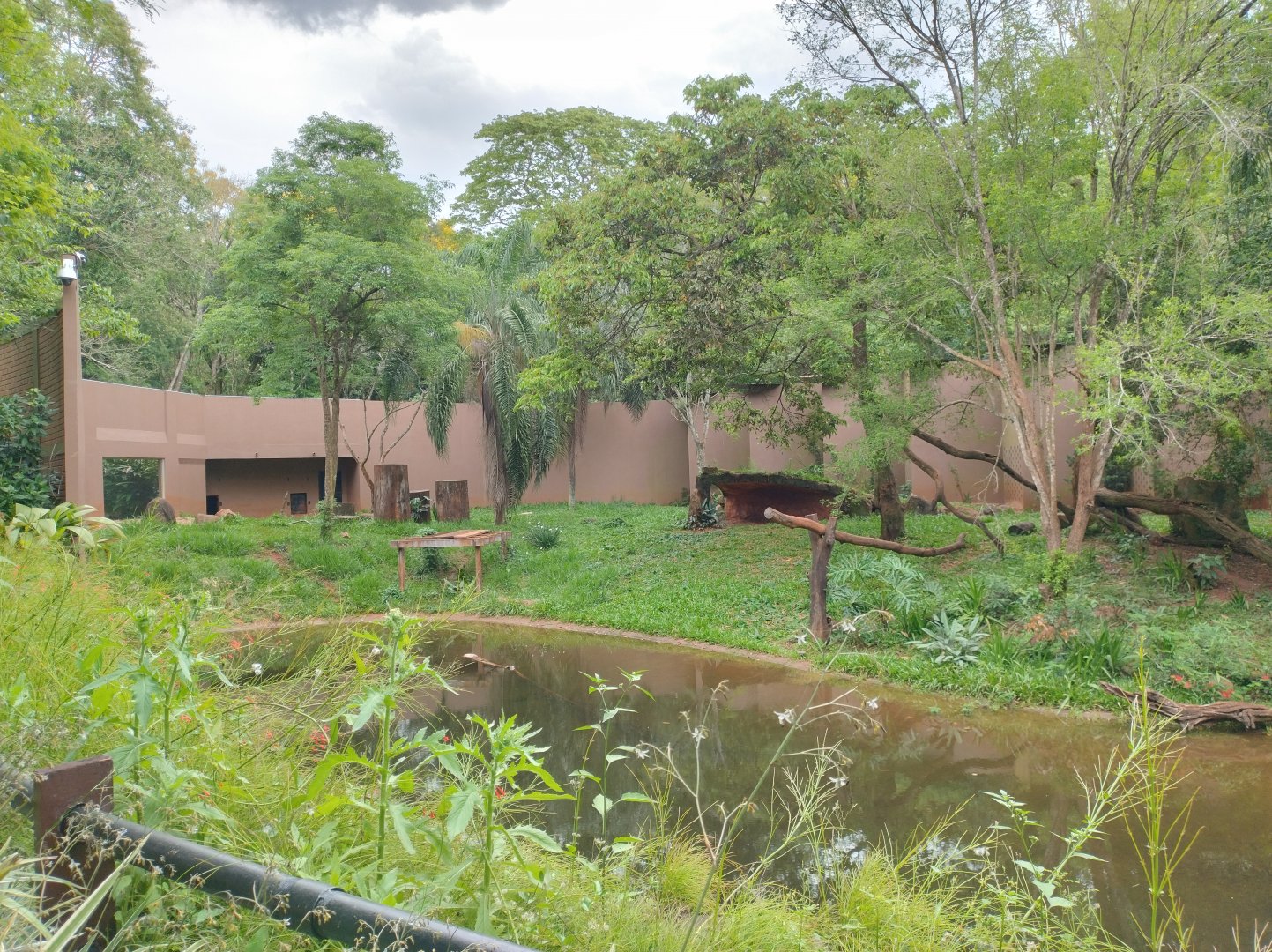 Jaguar exhibit - RBBV (ZRRL)