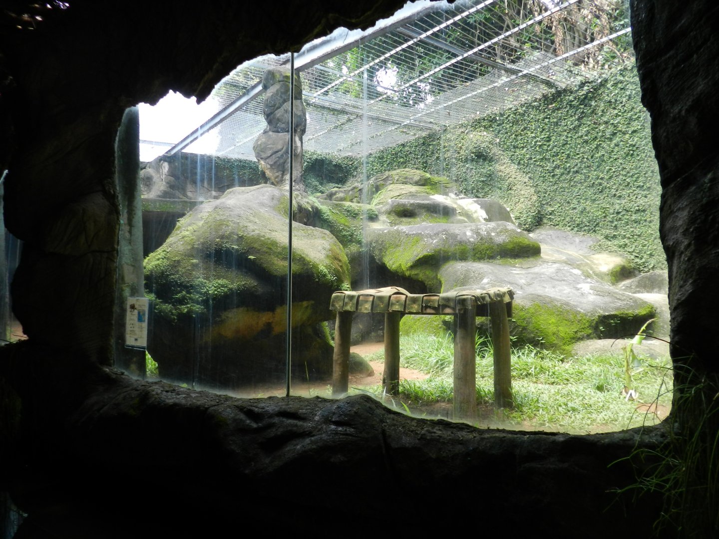 Jaguar exhibit - Salvador zoo (PZGV)