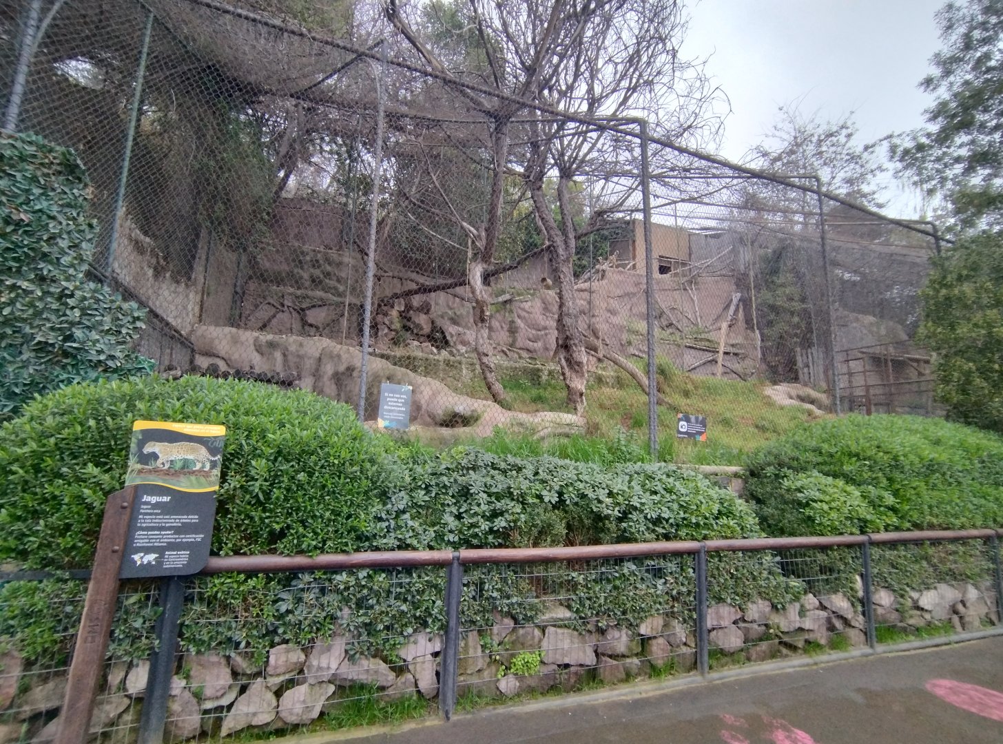 Jaguar exhibit - Santiago zoo (Zoologico nacional)