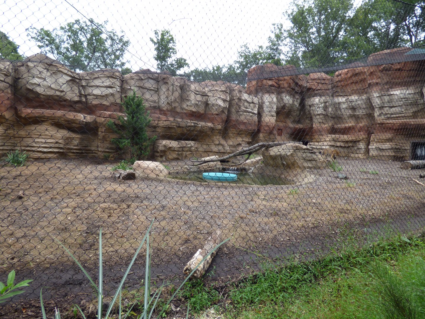 Jaguar Exhibit - Sept. 2018