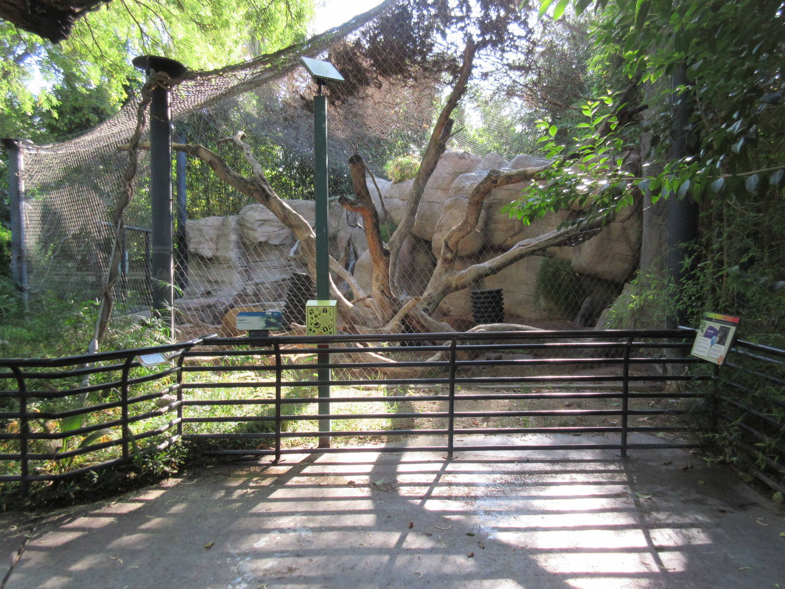 Jaguar Exhibit - side view