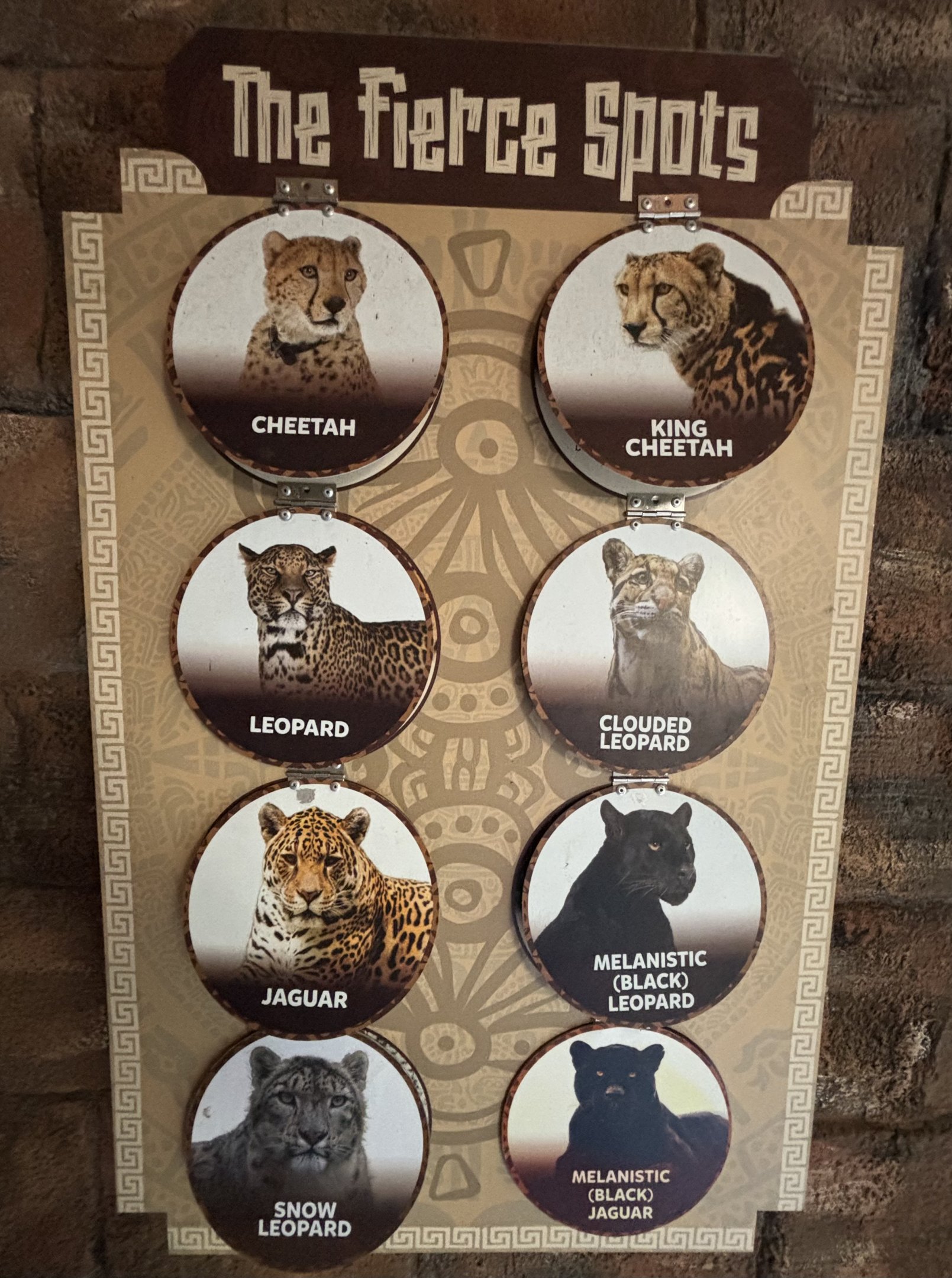 Jaguar Exhibit Sign