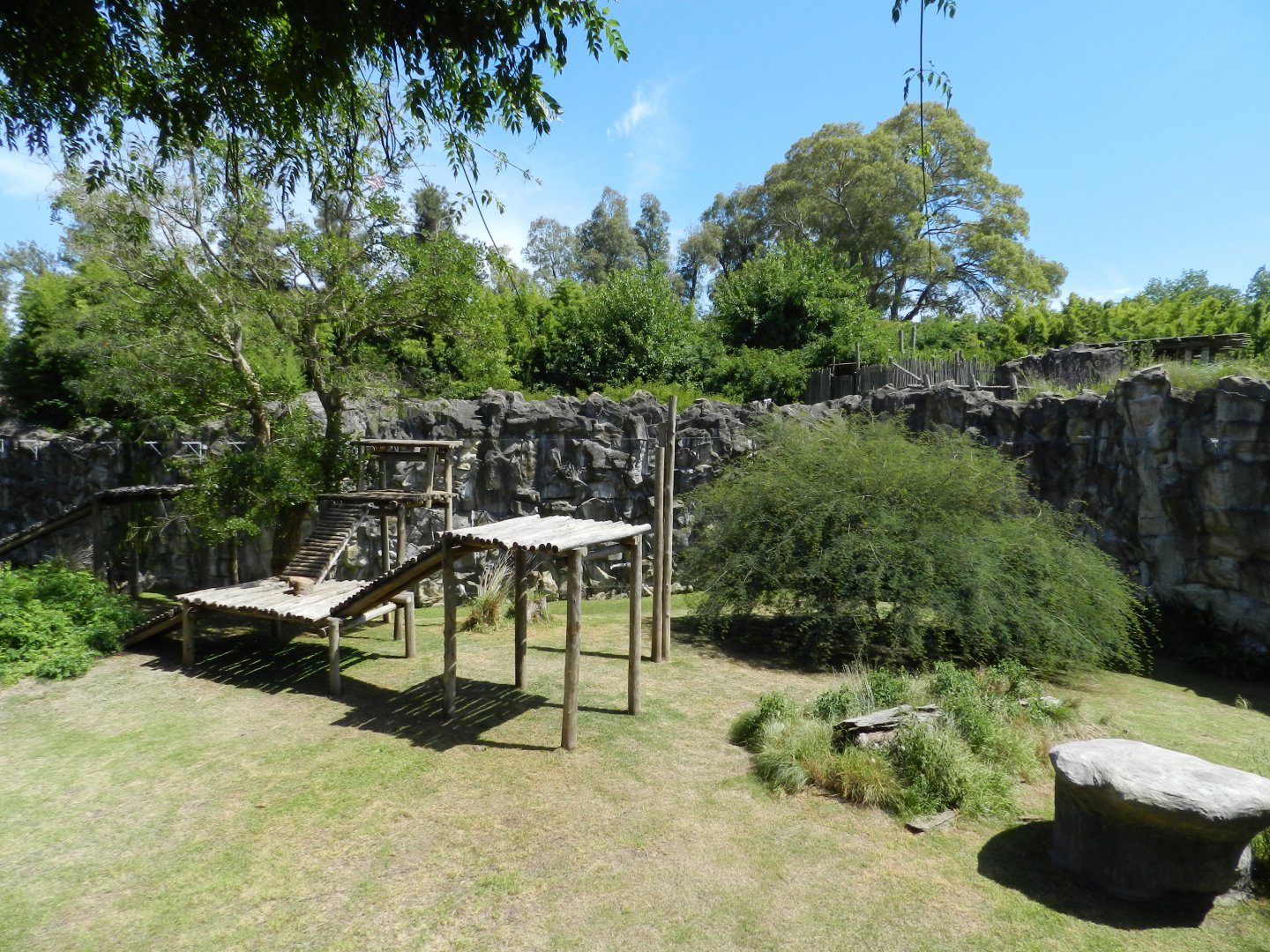 Jaguar exhibit - Temaiken