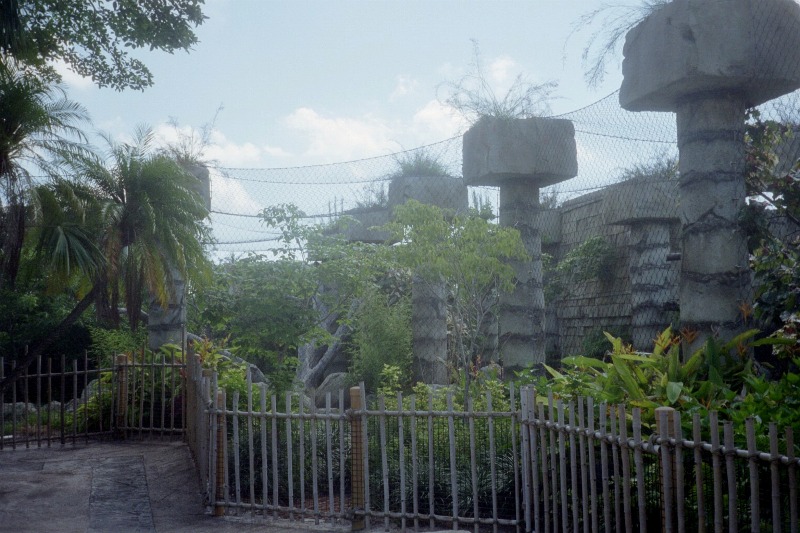 Jaguar Exhibit - Tropics of the Americas