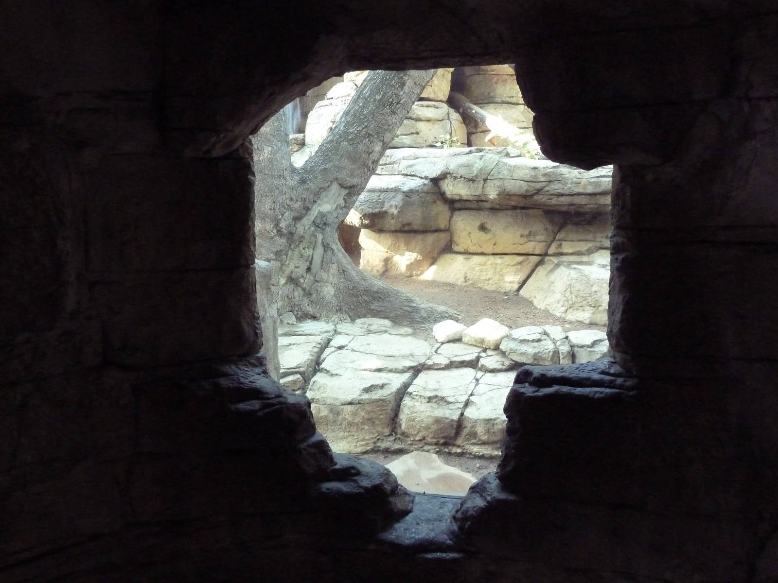 Jaguar Exhibit - Viewing Cave
