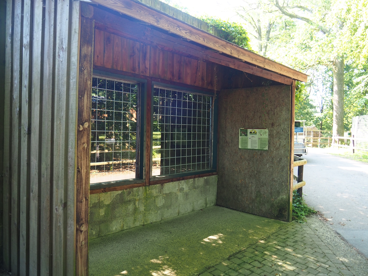 Jaguar exhibit viewing window, 2023-06-24