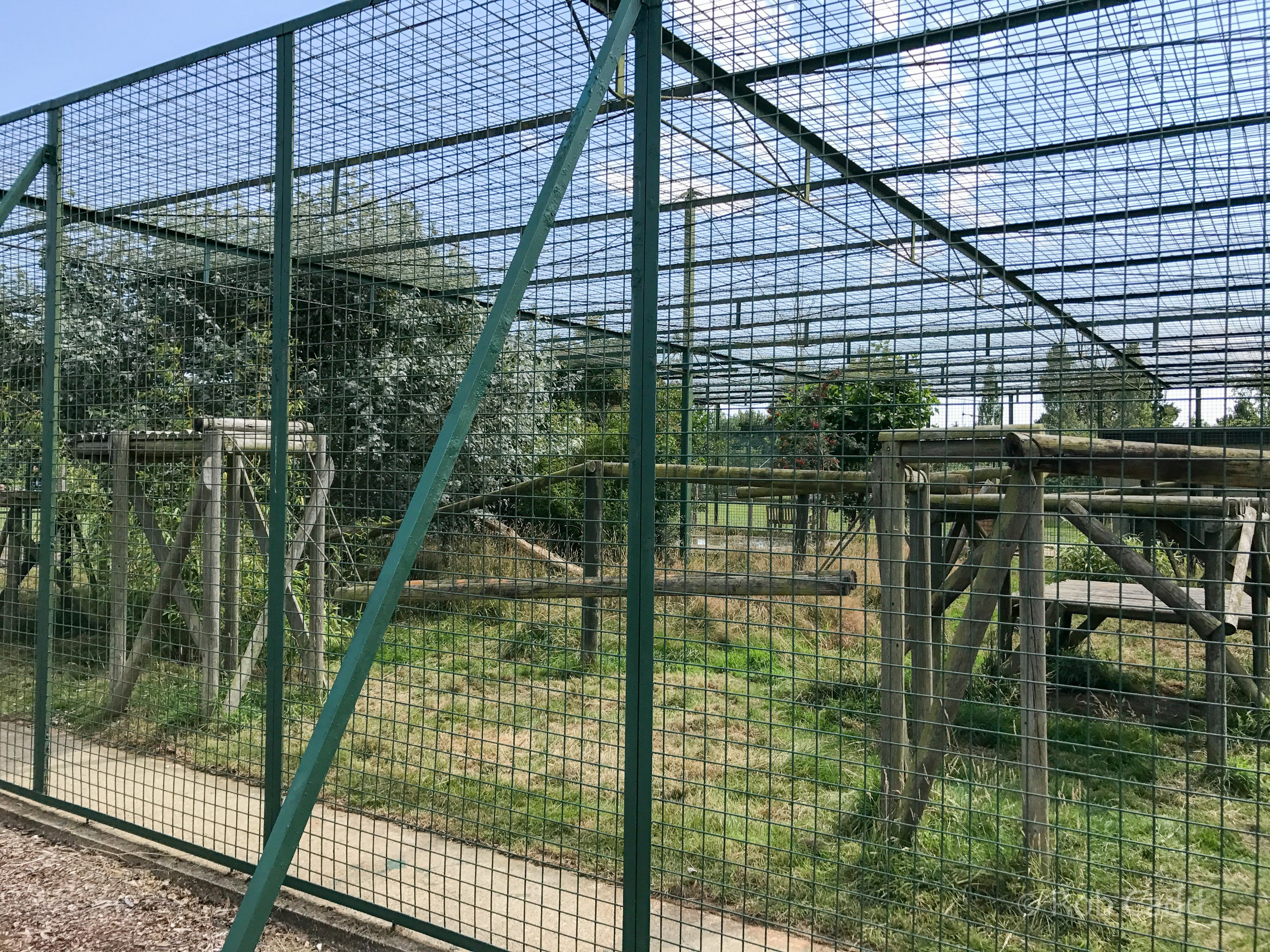 Jaguar (exhibit) : WHF Big Cat Sanctuary : 21 Jul 2017