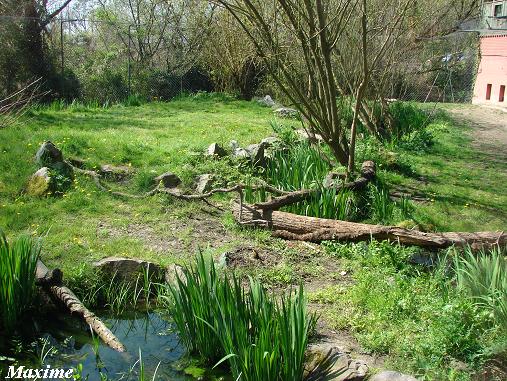 Jaguar exhibit - Zoo des Sables d'Olonne (France)