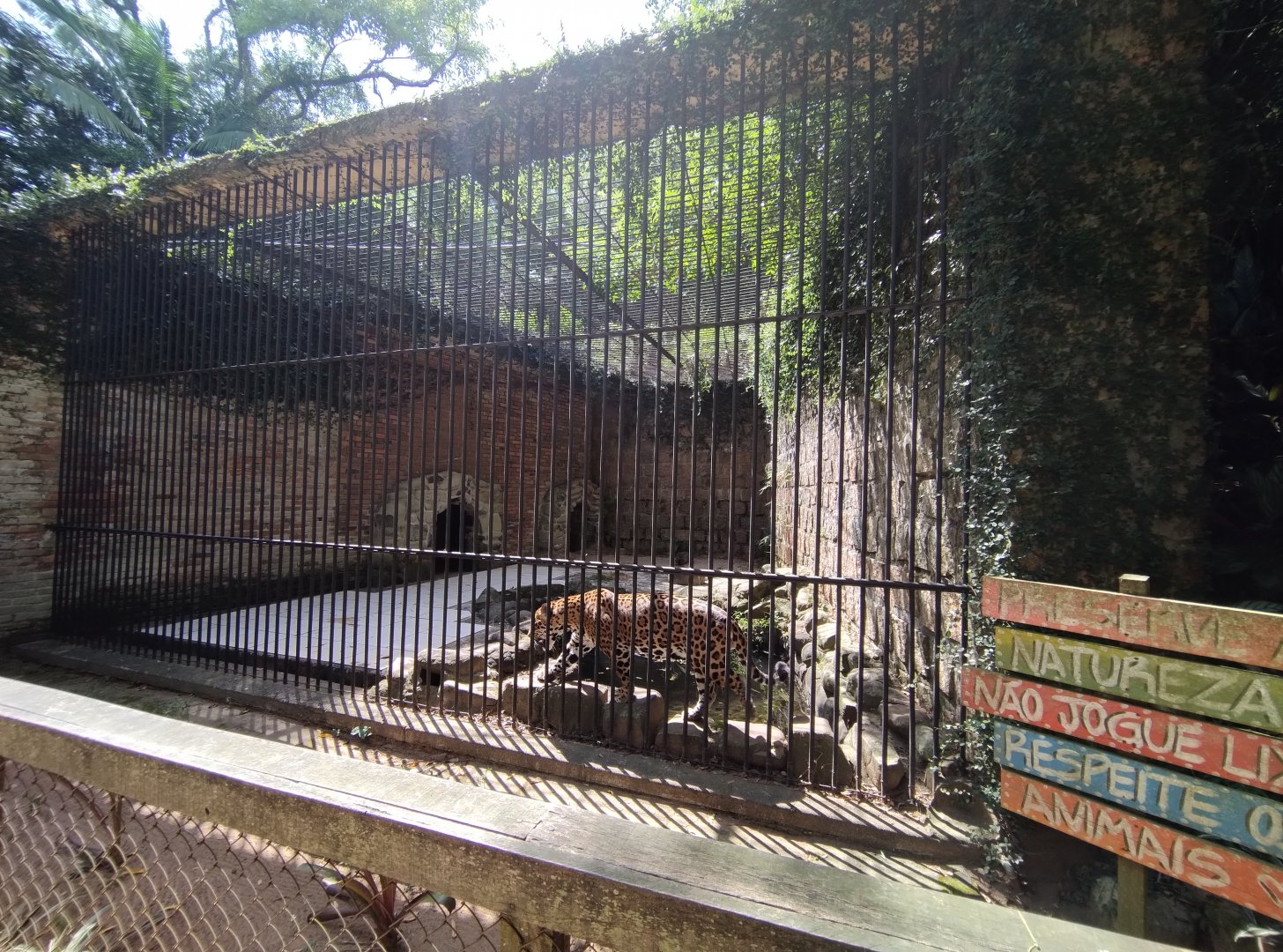 Jaguar exhibit - Zoo Sapucaia