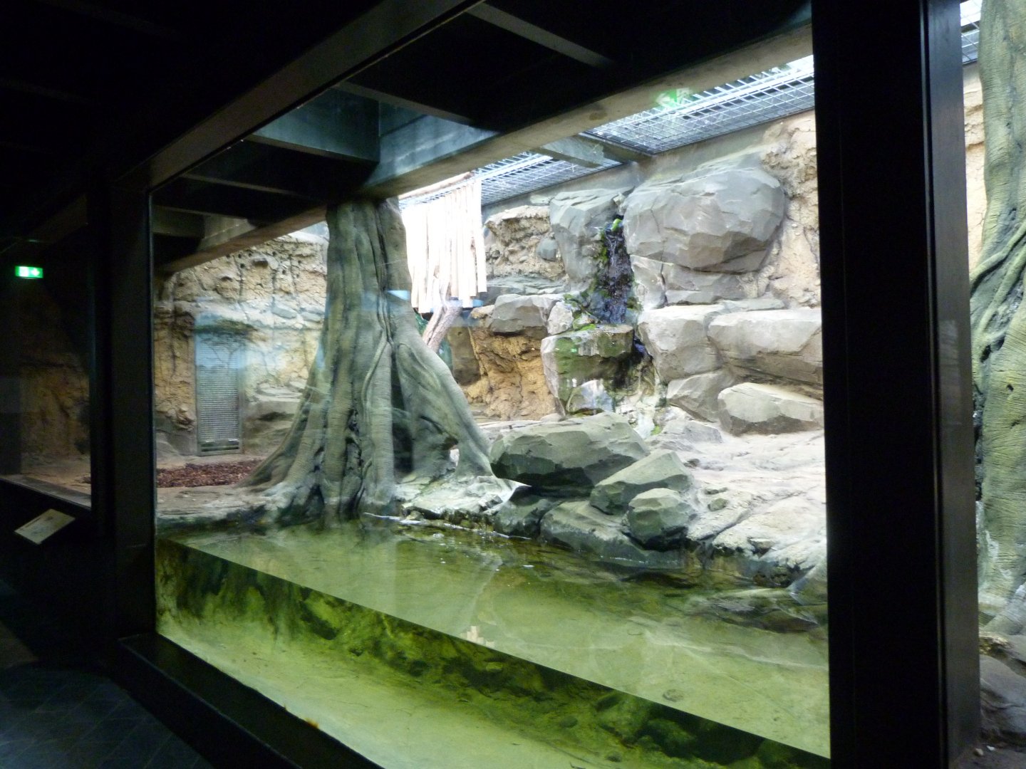 Jaguar exhibit -Zoologischer Garten Berlin (2024)