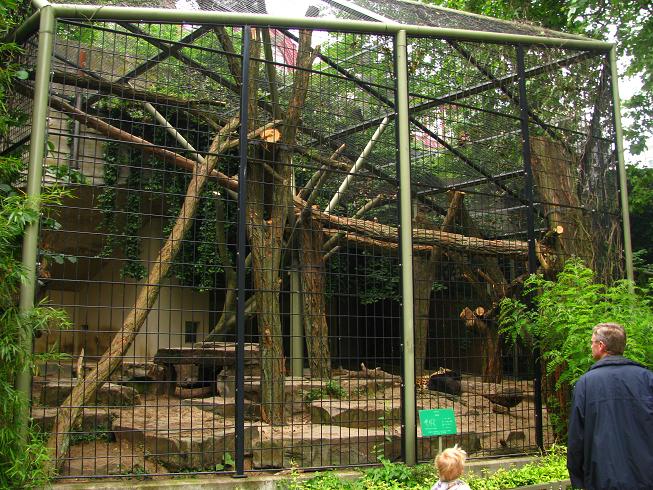 Jaguar Exhibit