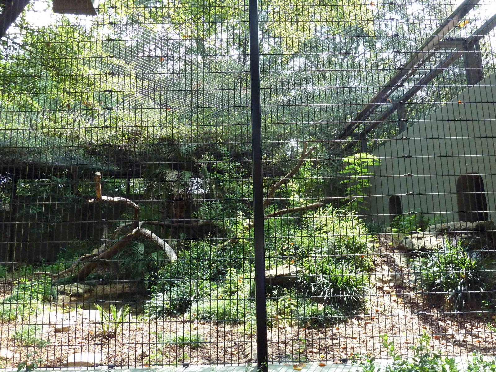 Jaguar Exhibit