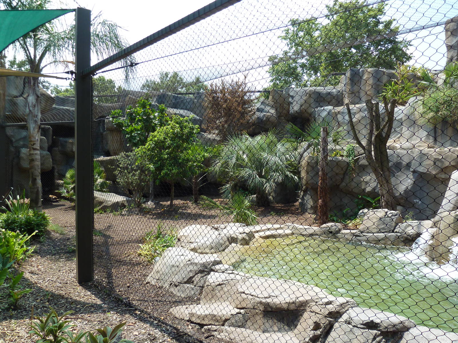 Jaguar Exhibit