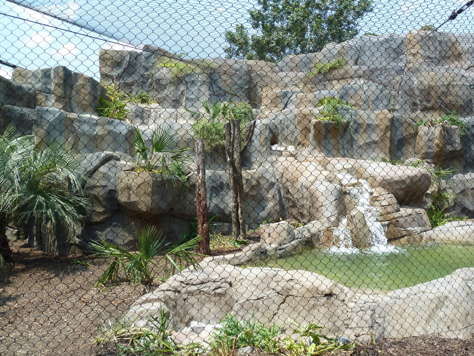 Jaguar Exhibit