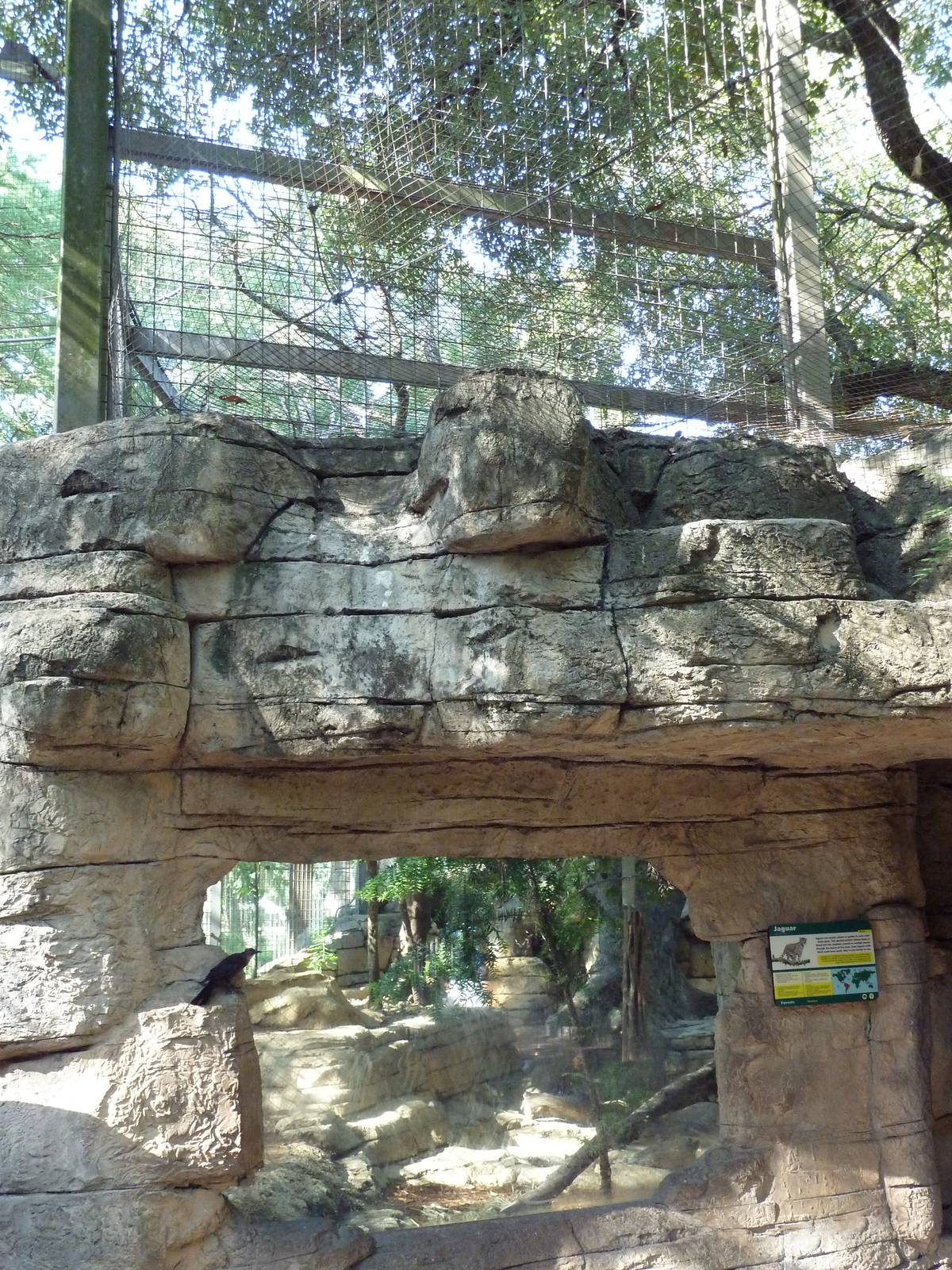 Jaguar Exhibit