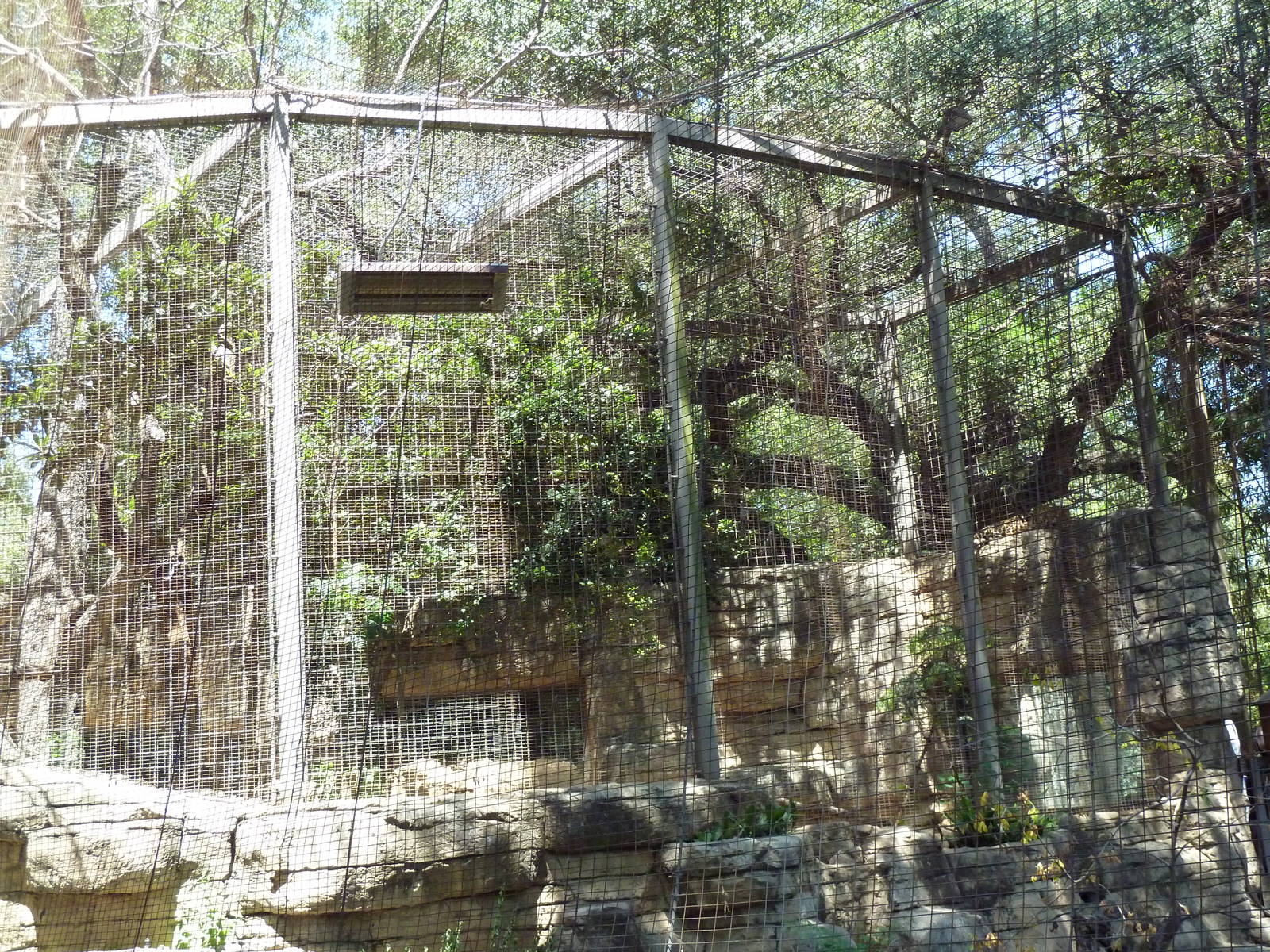 Jaguar Exhibit