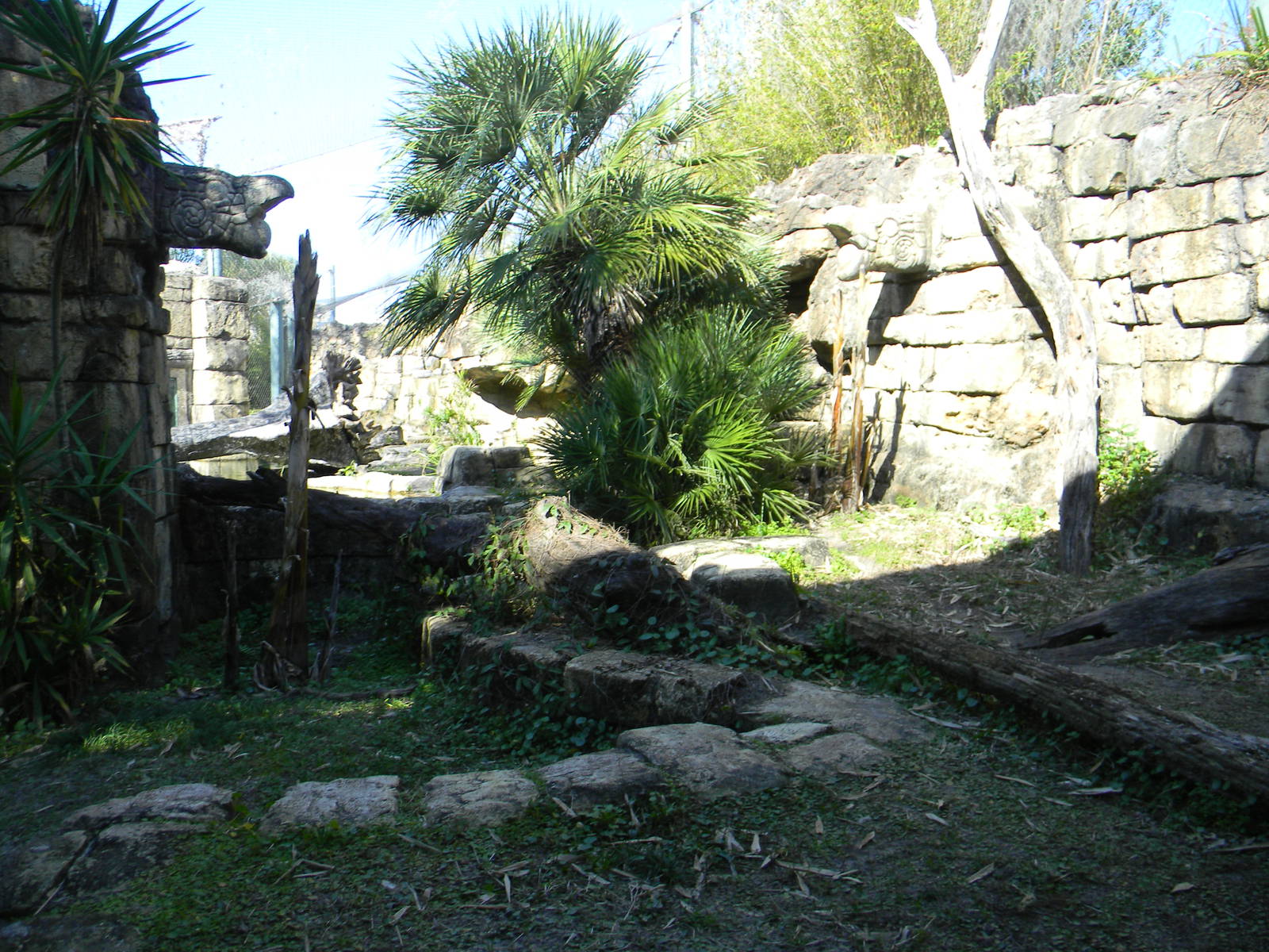 Jaguar Exhibit