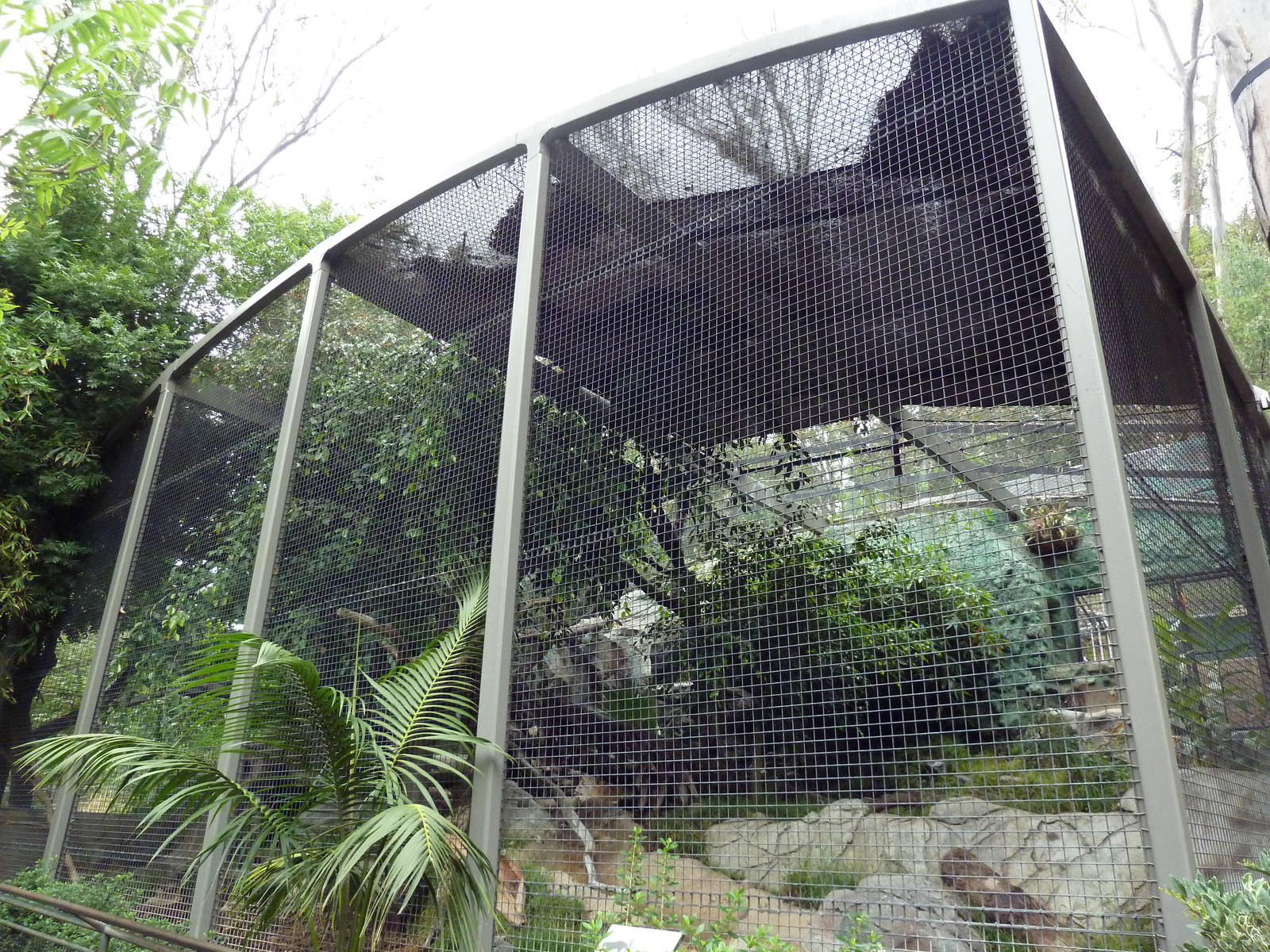 Jaguar Exhibit