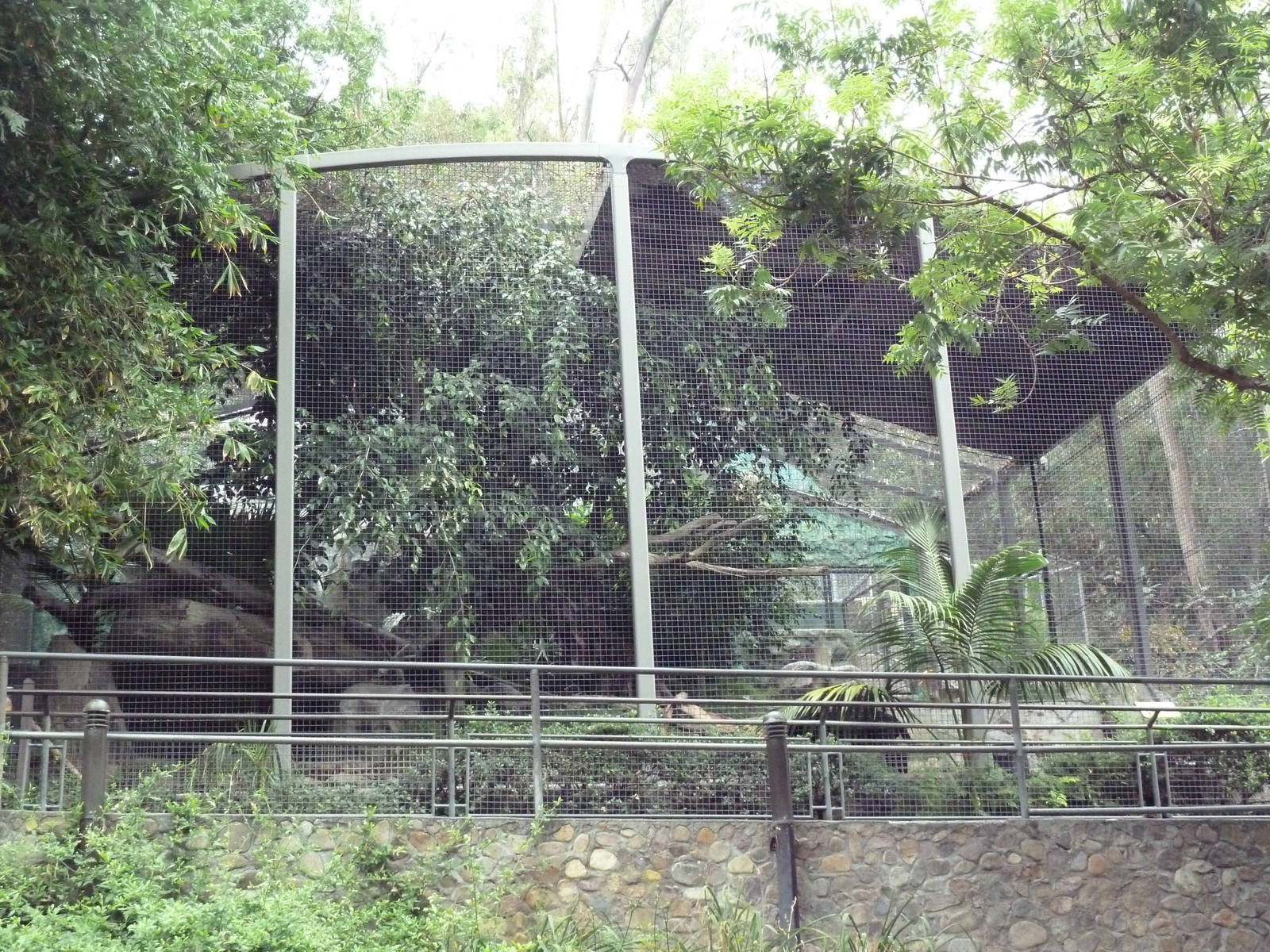 Jaguar Exhibit