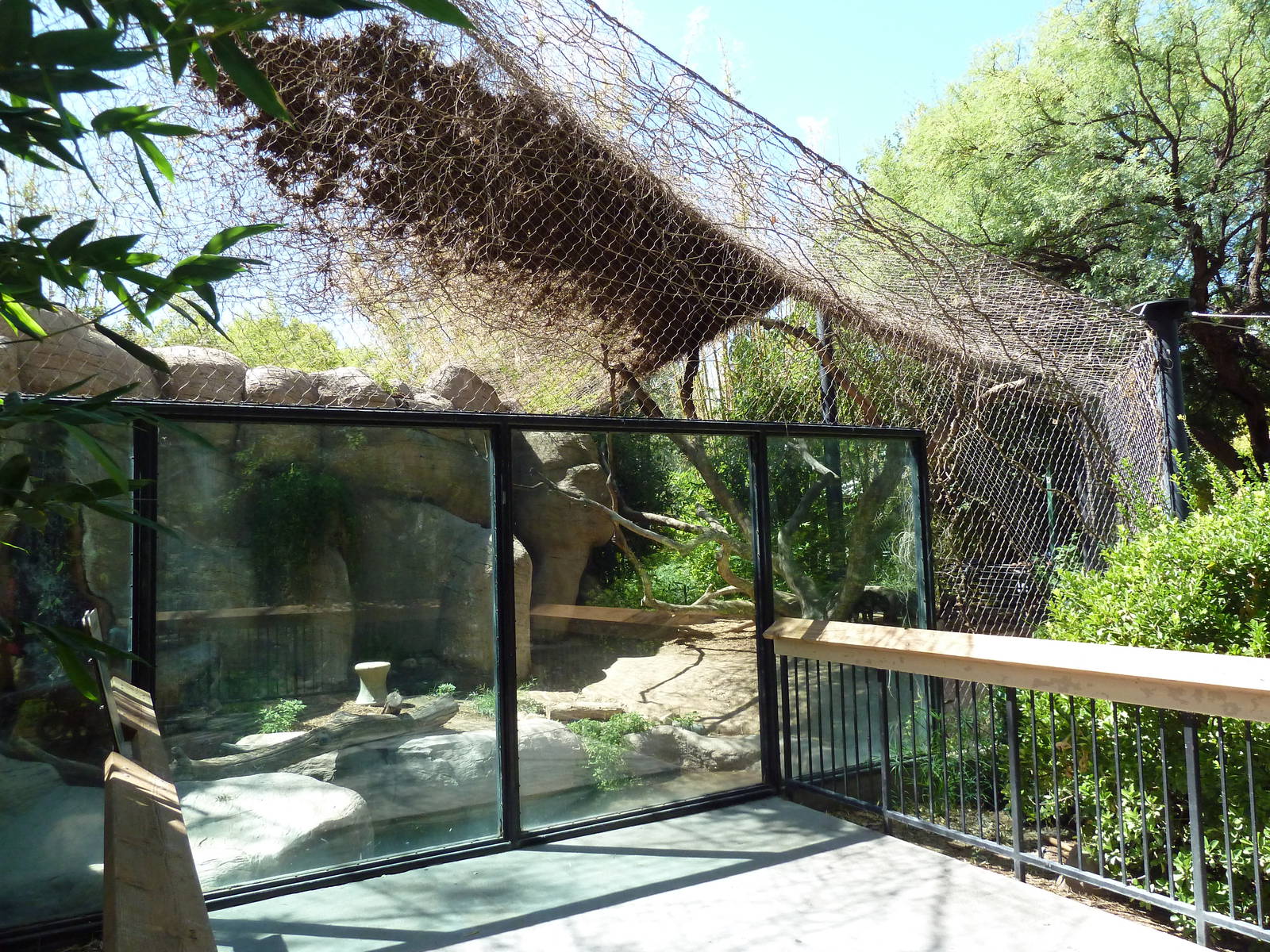 Jaguar Exhibit