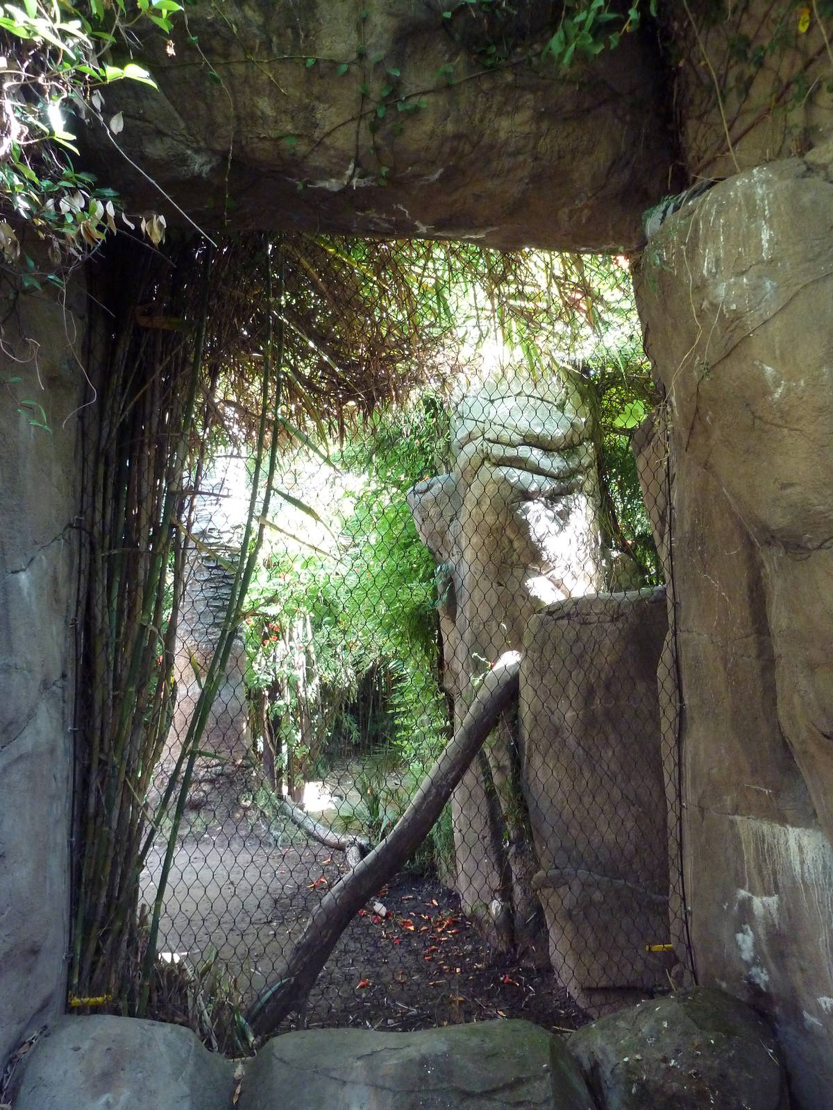 Jaguar Exhibit