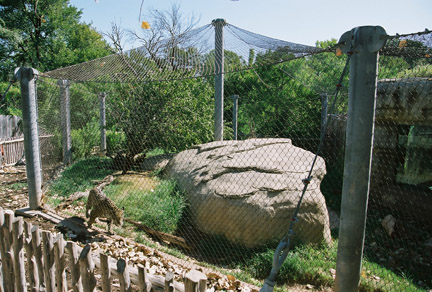jaguar exhibit