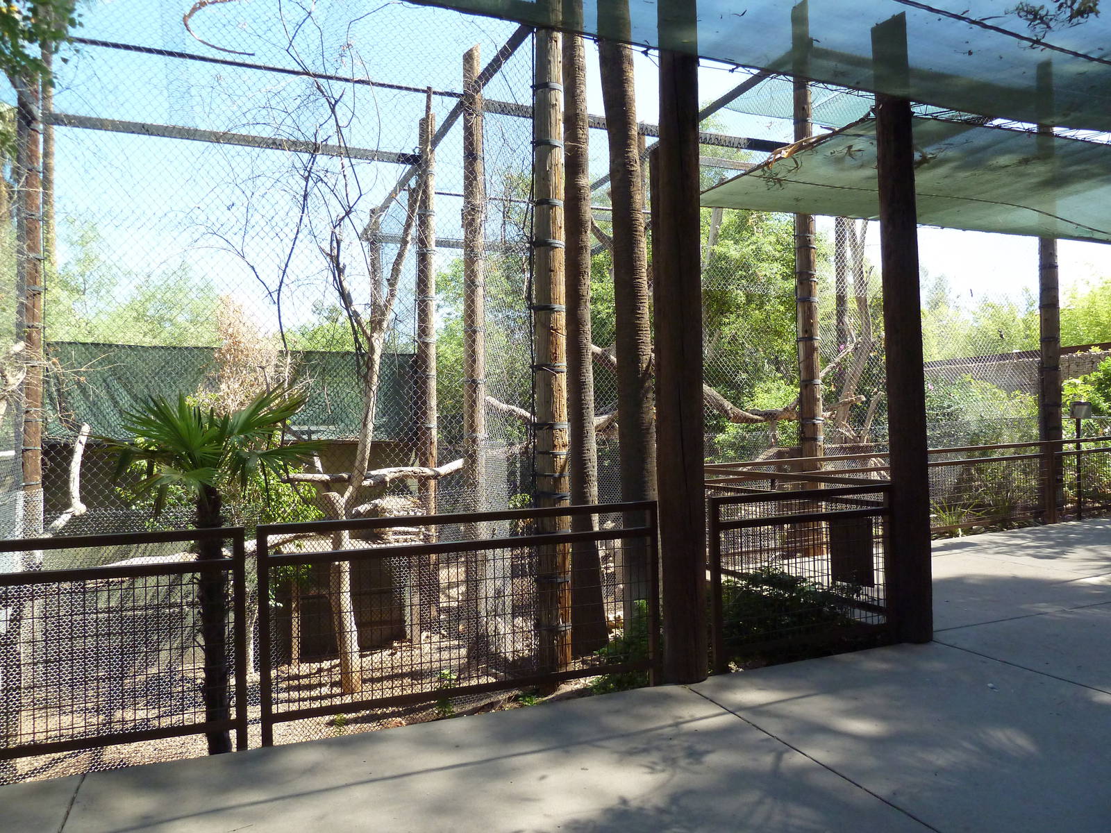 Jaguar Exhibit