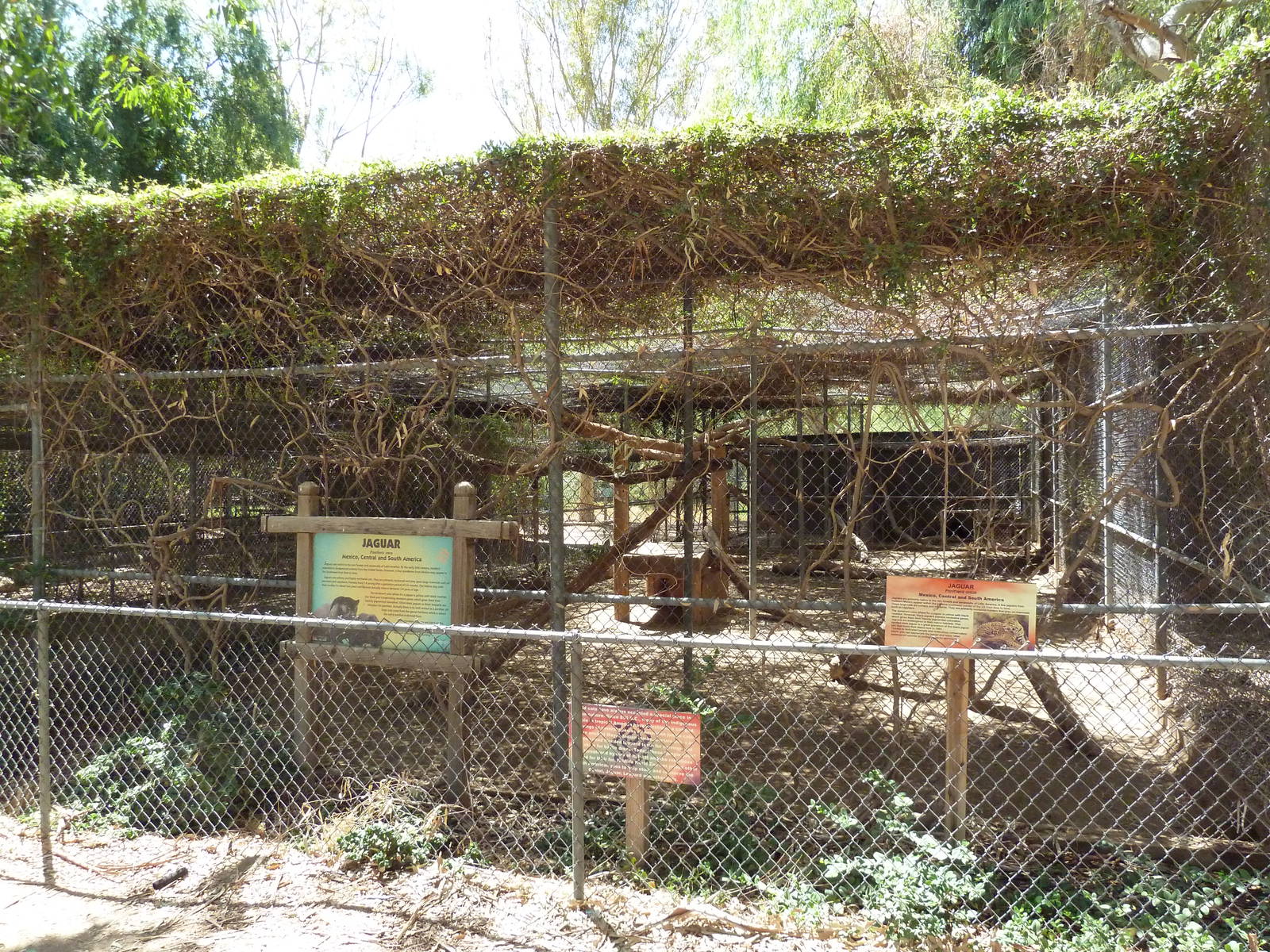 Jaguar Exhibit