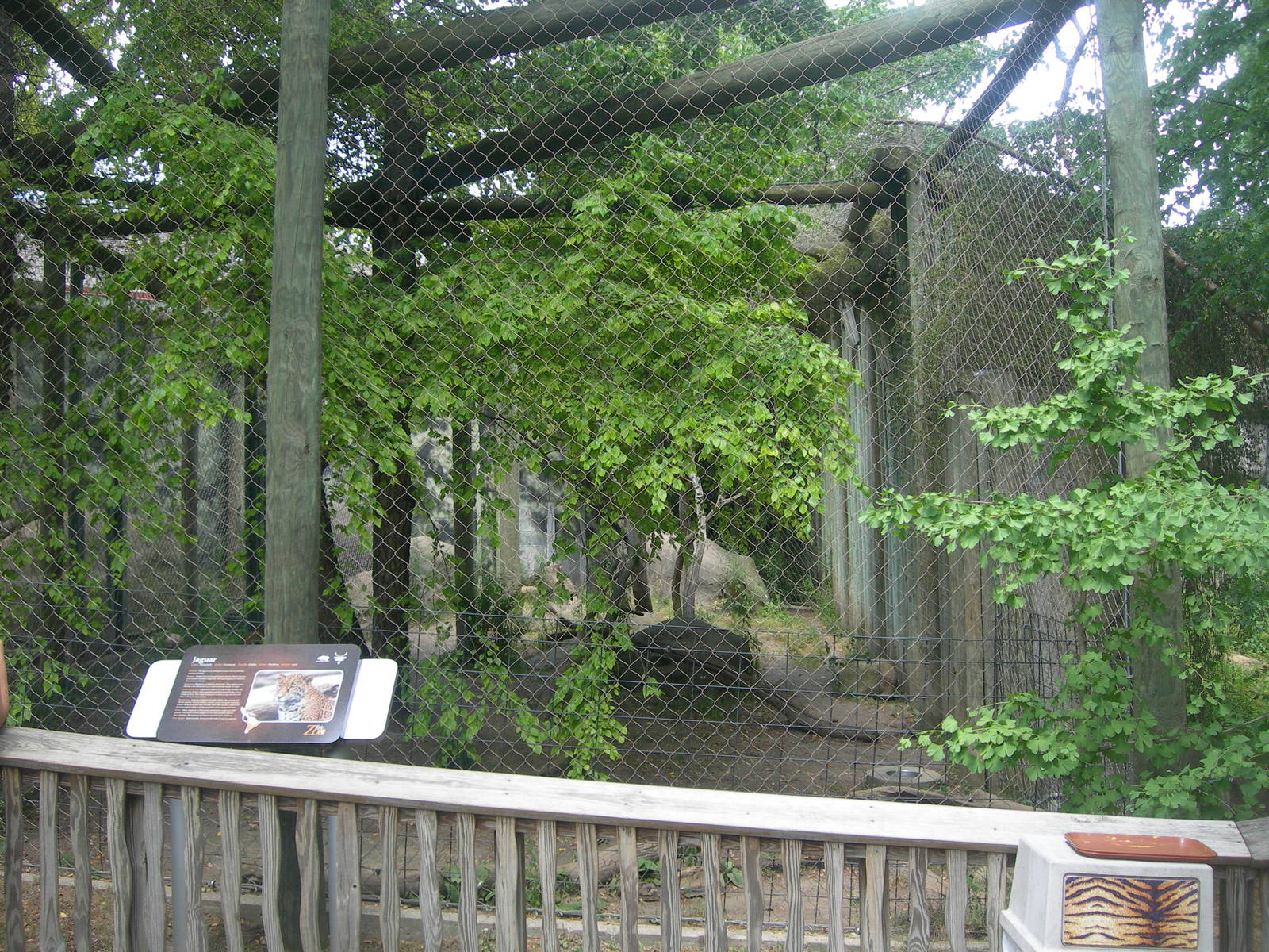 Jaguar Exhibit