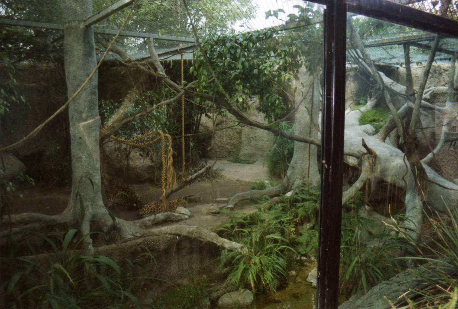 Jaguar Exhibit