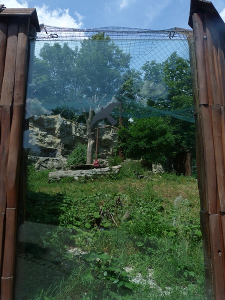 Jaguar exhibit