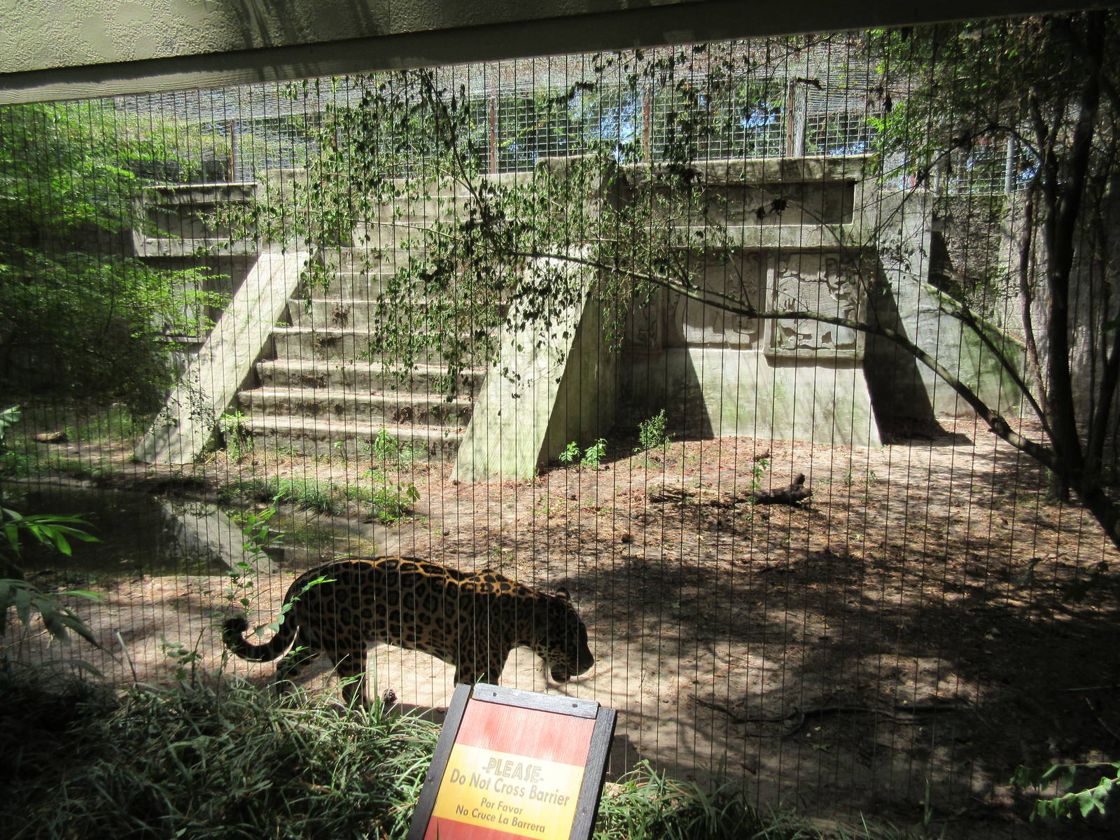 Jaguar Exhibit