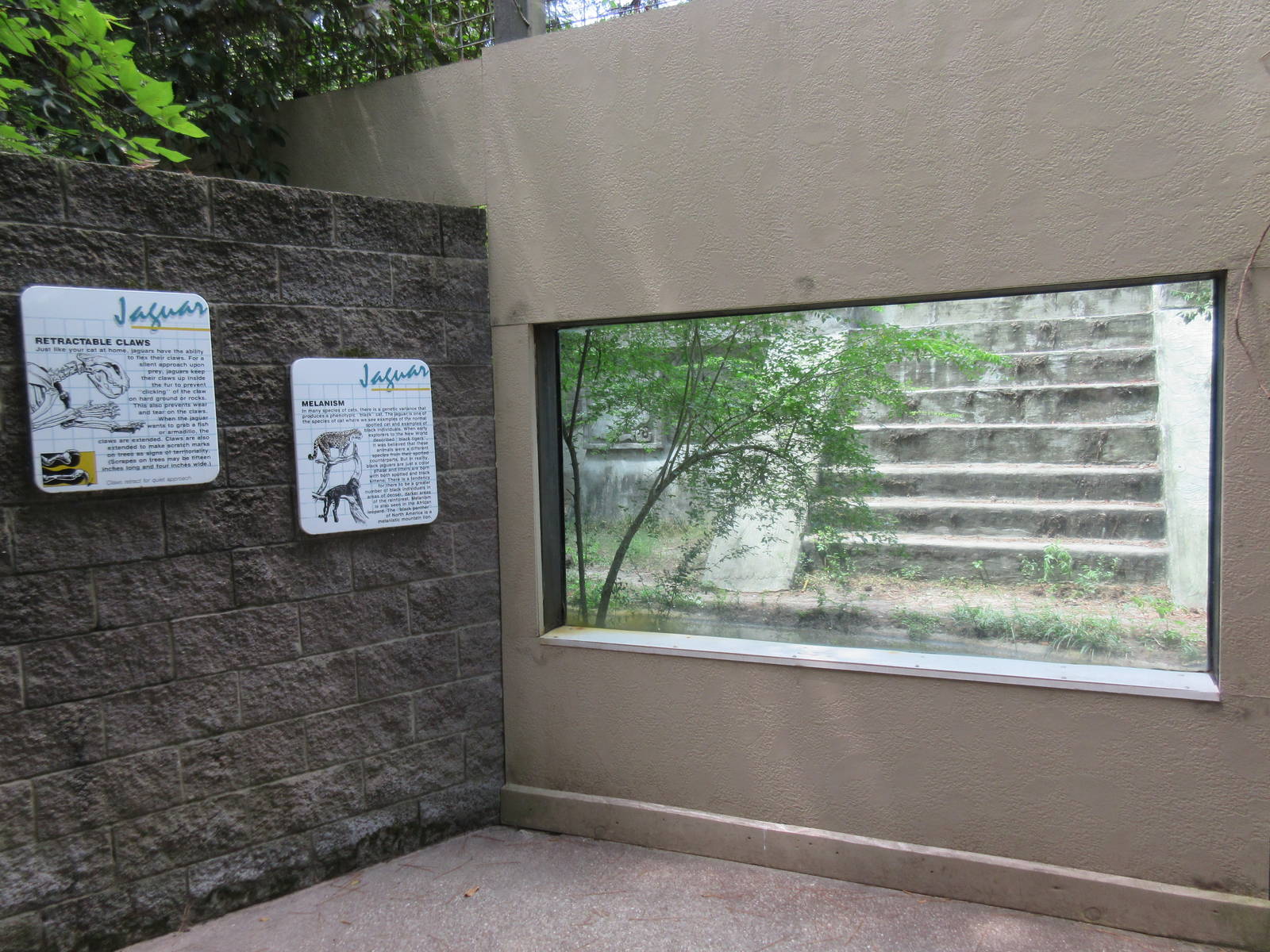 Jaguar Exhibit
