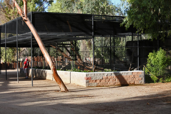 jaguar exhibit